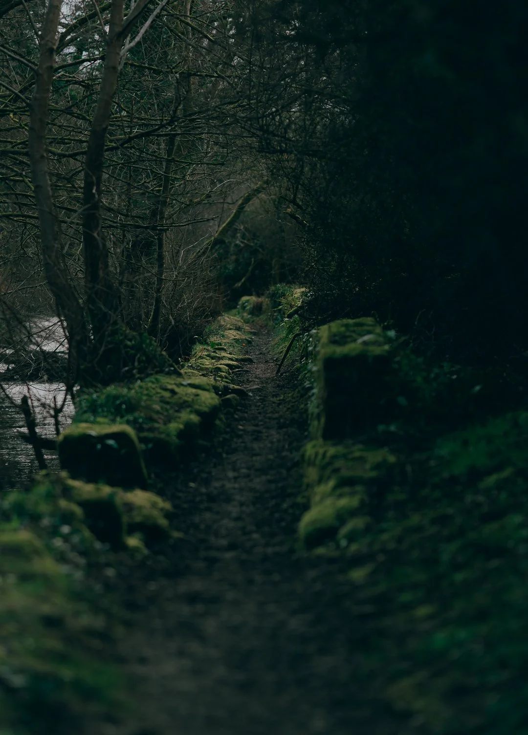 The Darn Walk