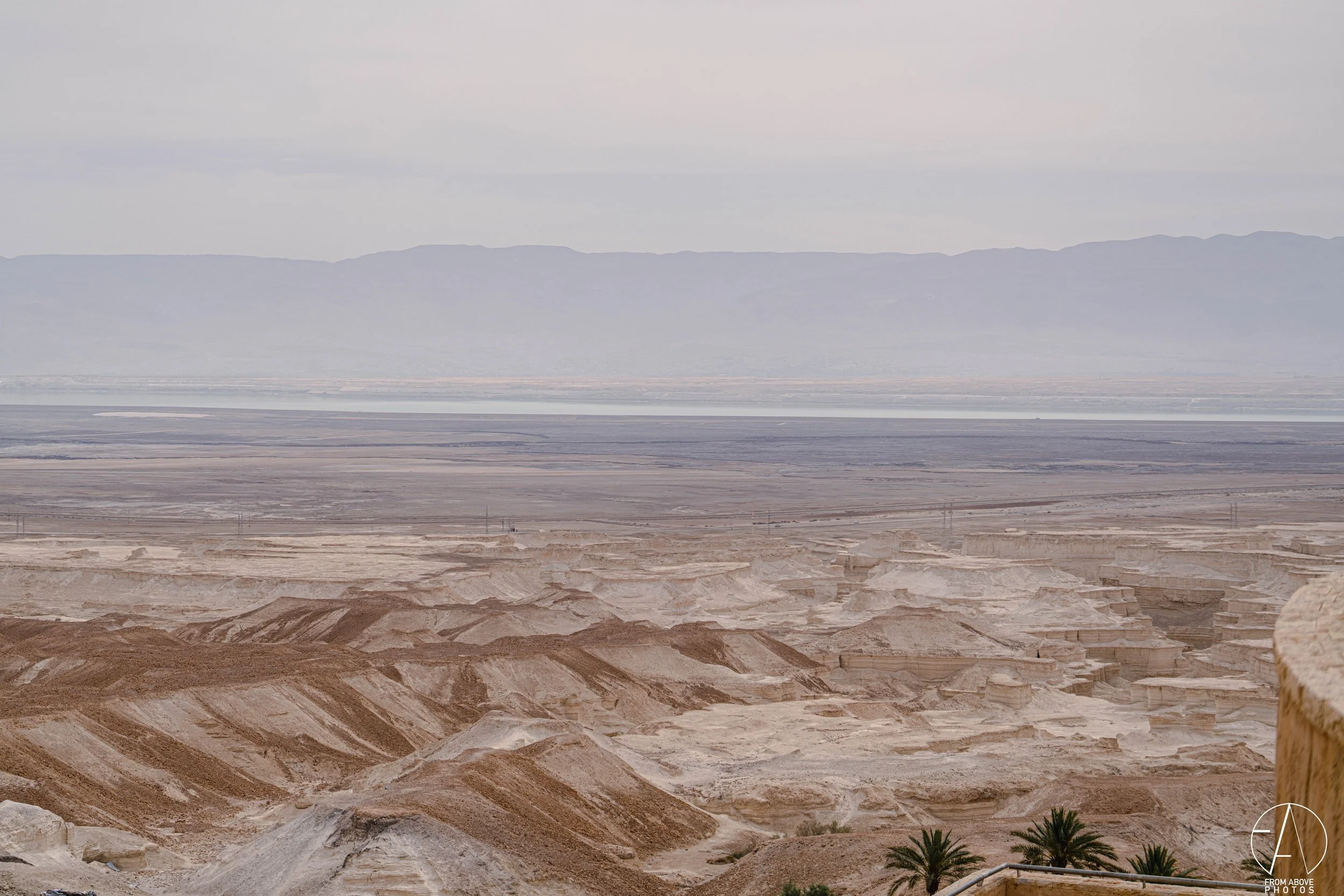 Desert landscape with layered rock formations, a few palm trees in the foreground, and distant mountains under a cloudy sky.