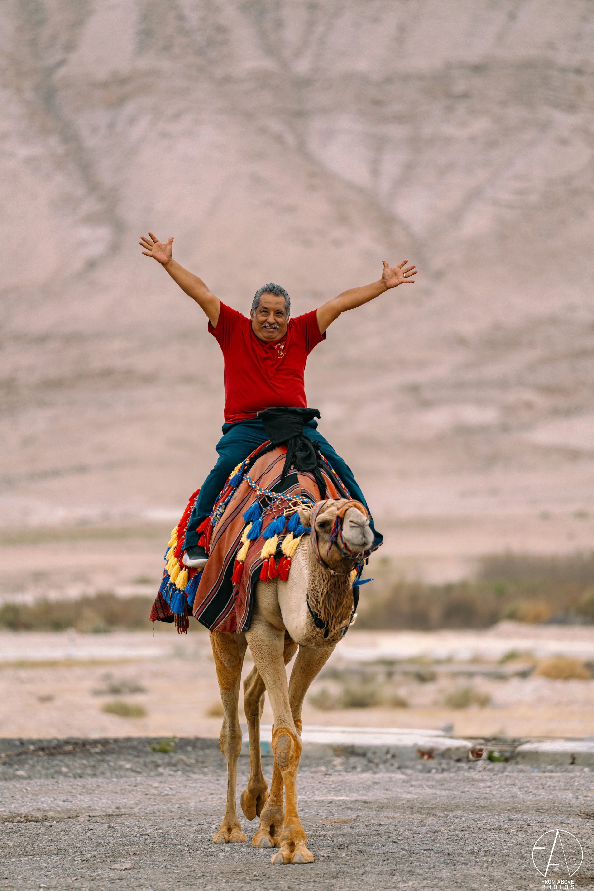 A man wearing a red shirt rides a decorated camel in a desert landscape with rocky formations in the background, raising his arms in joy.