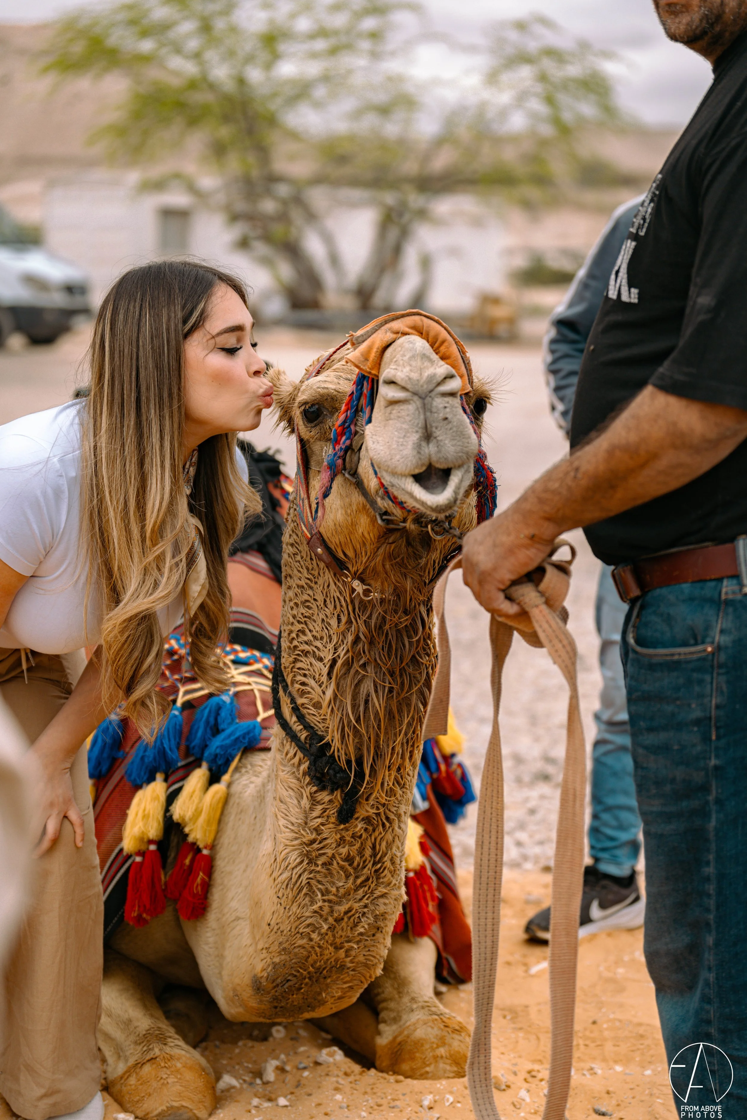 A woman and a man are posing with a smiling camel decorated with colorful tassels, in an outdoor setting with a tree and parked cars in the background.