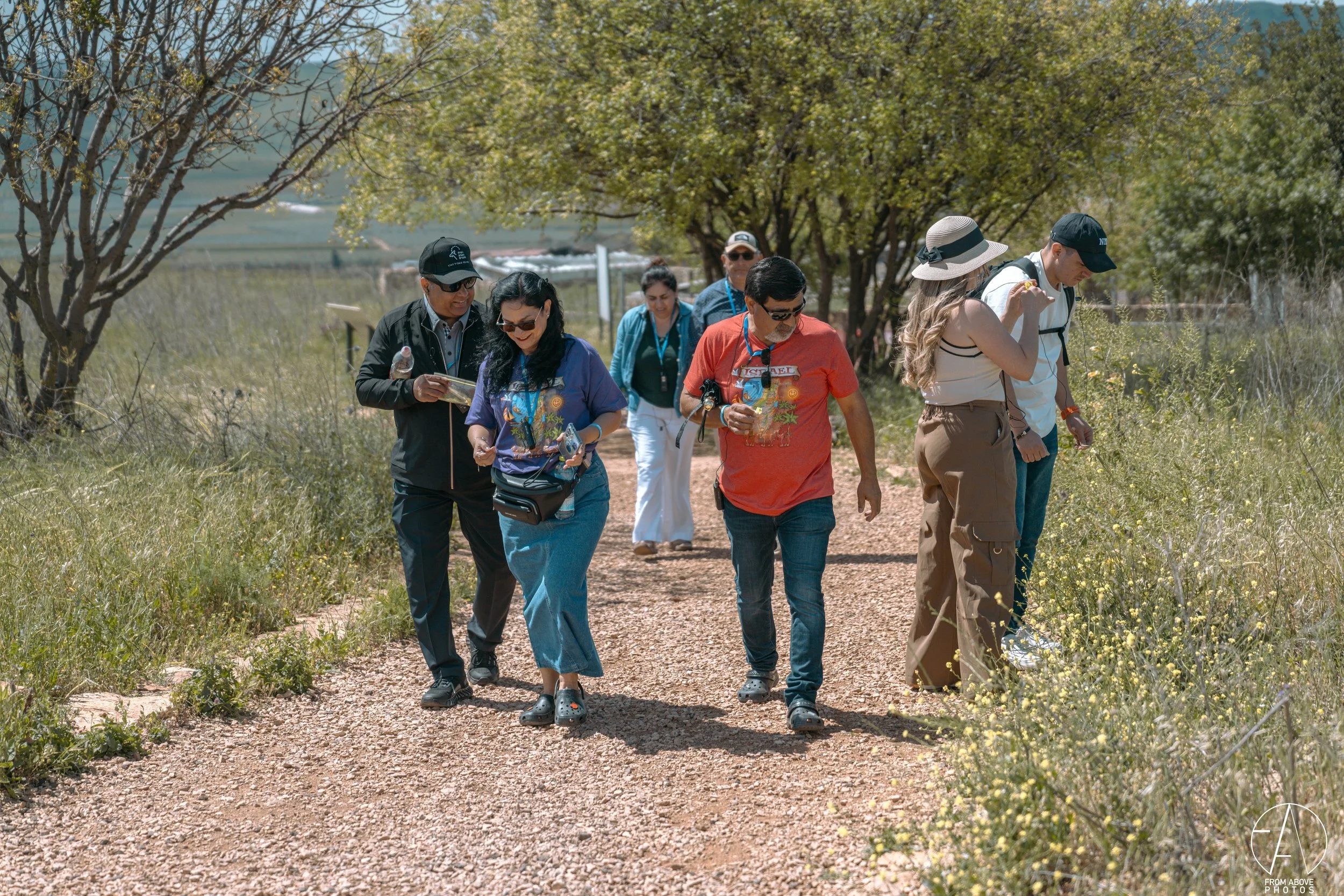 Group of seven people walking on a dirt trail through a park or nature reserve, surrounded by grass, small yellow flowers, and trees with sparse leaves, on a sunny day.