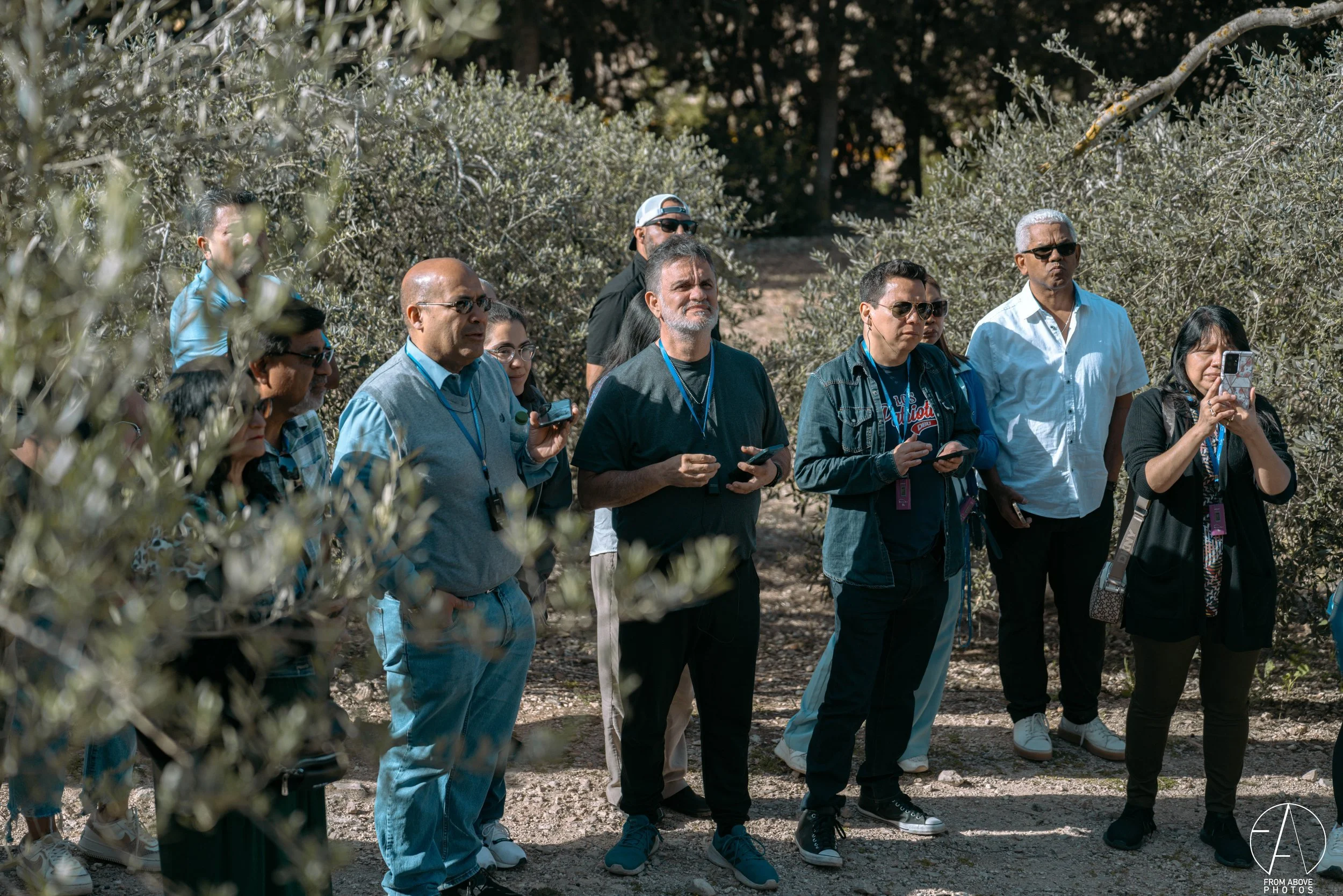 A group of people standing outdoors among bushes, some holding smartphones, appear to be listening to a guide or speaker during a tour or event.