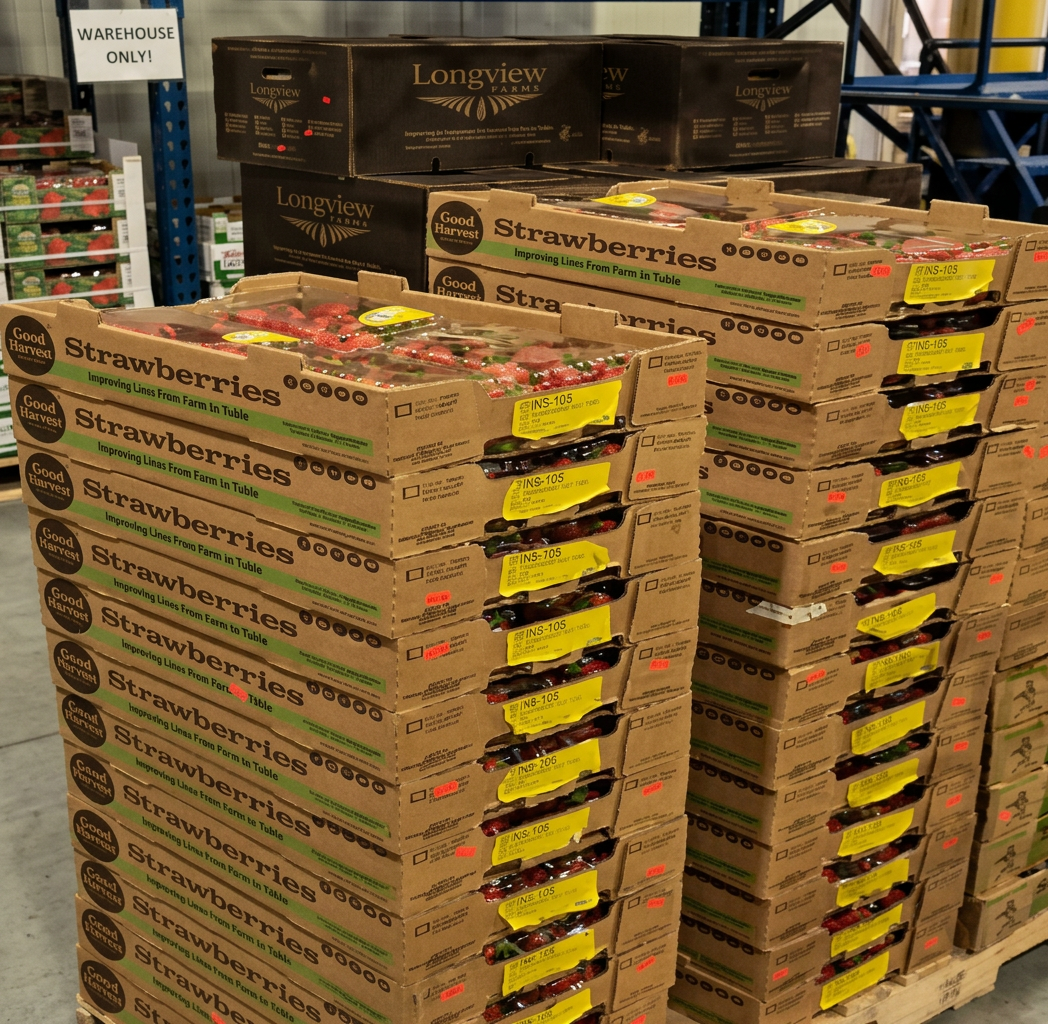 cardboard stacks of fresh organic strawberries in a warehouse