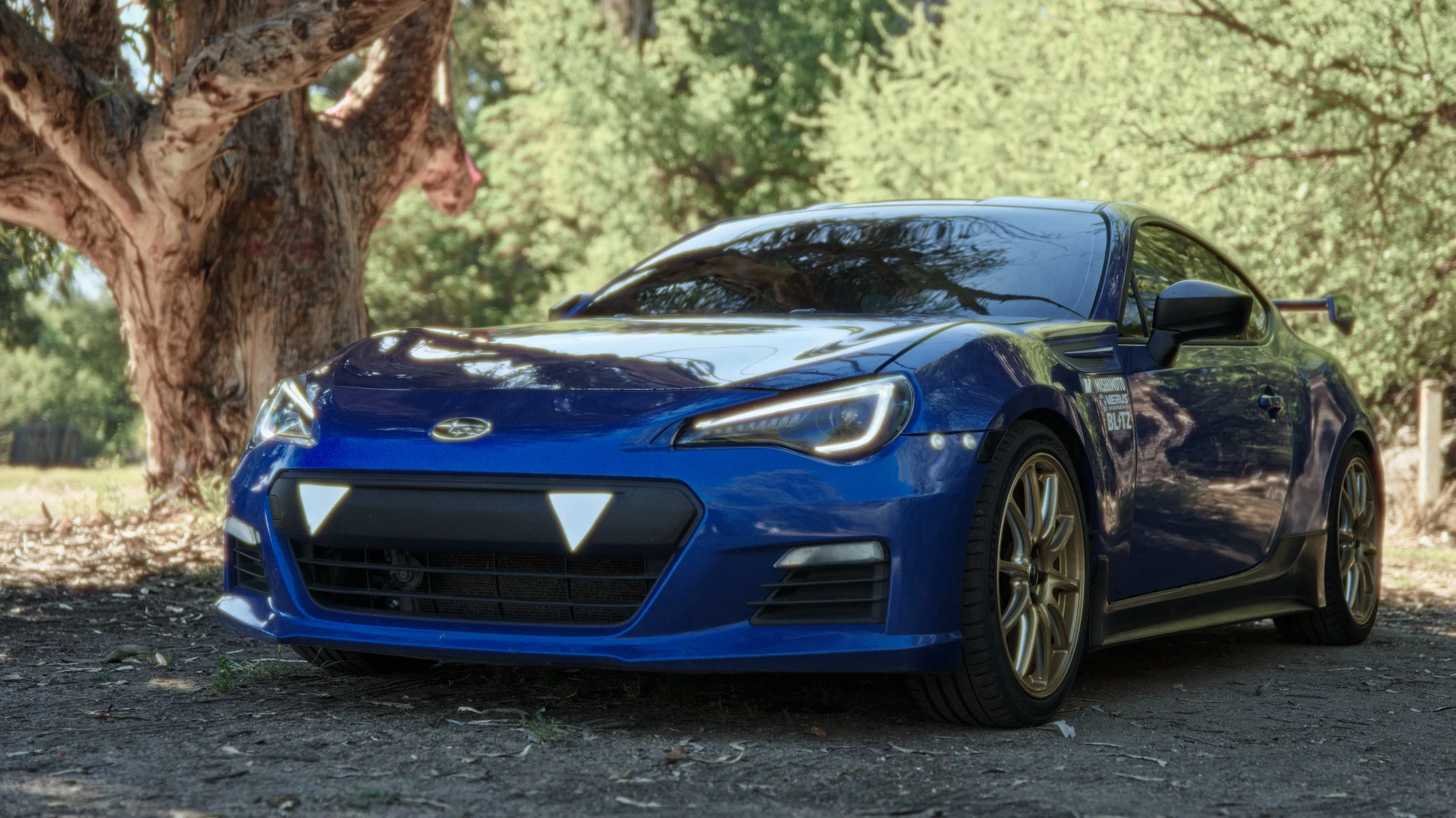 A blue sports car parked outdoors near a large tree and green foliage.