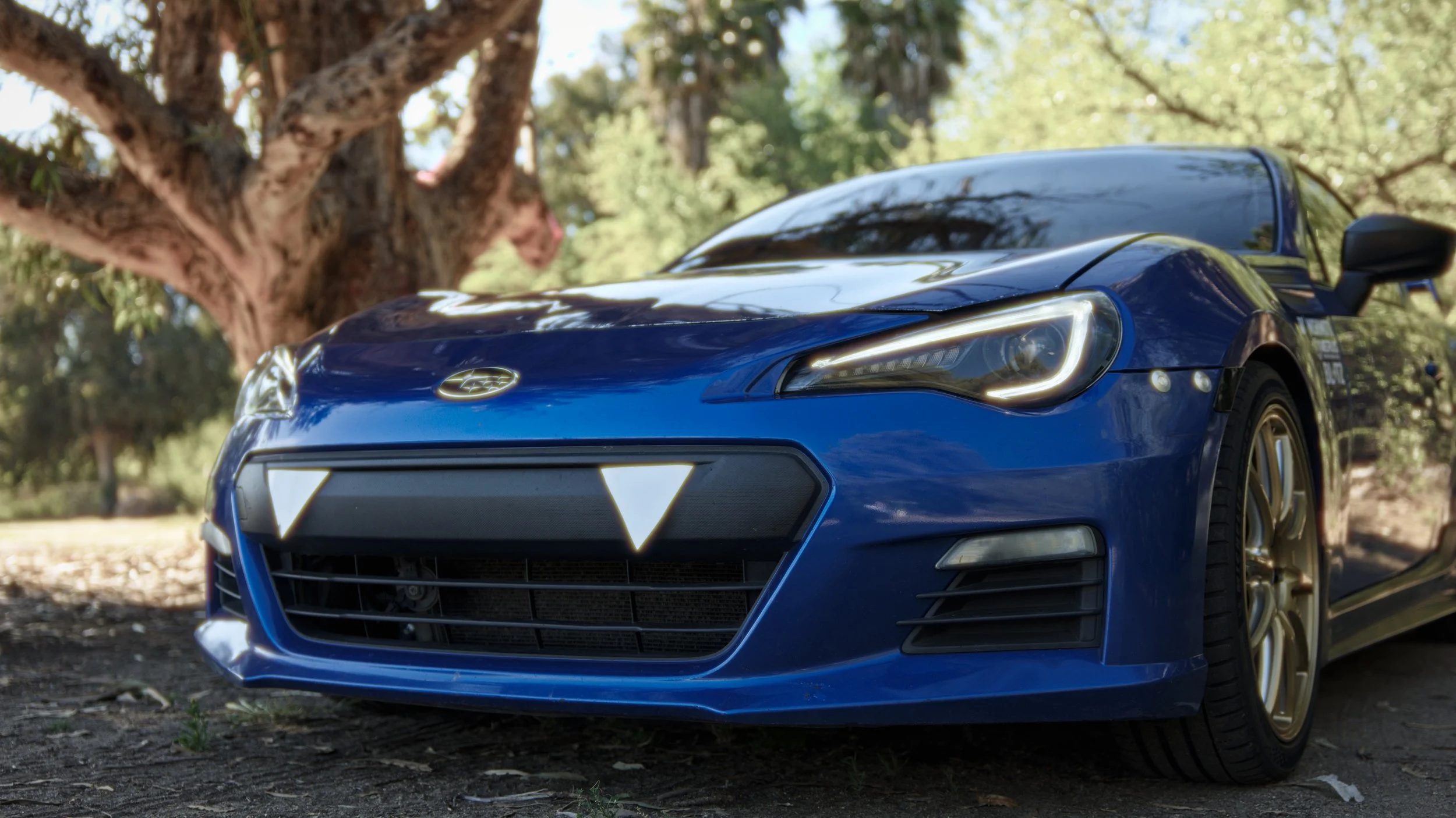A blue sports car parked outdoors near a large tree with green leaves.