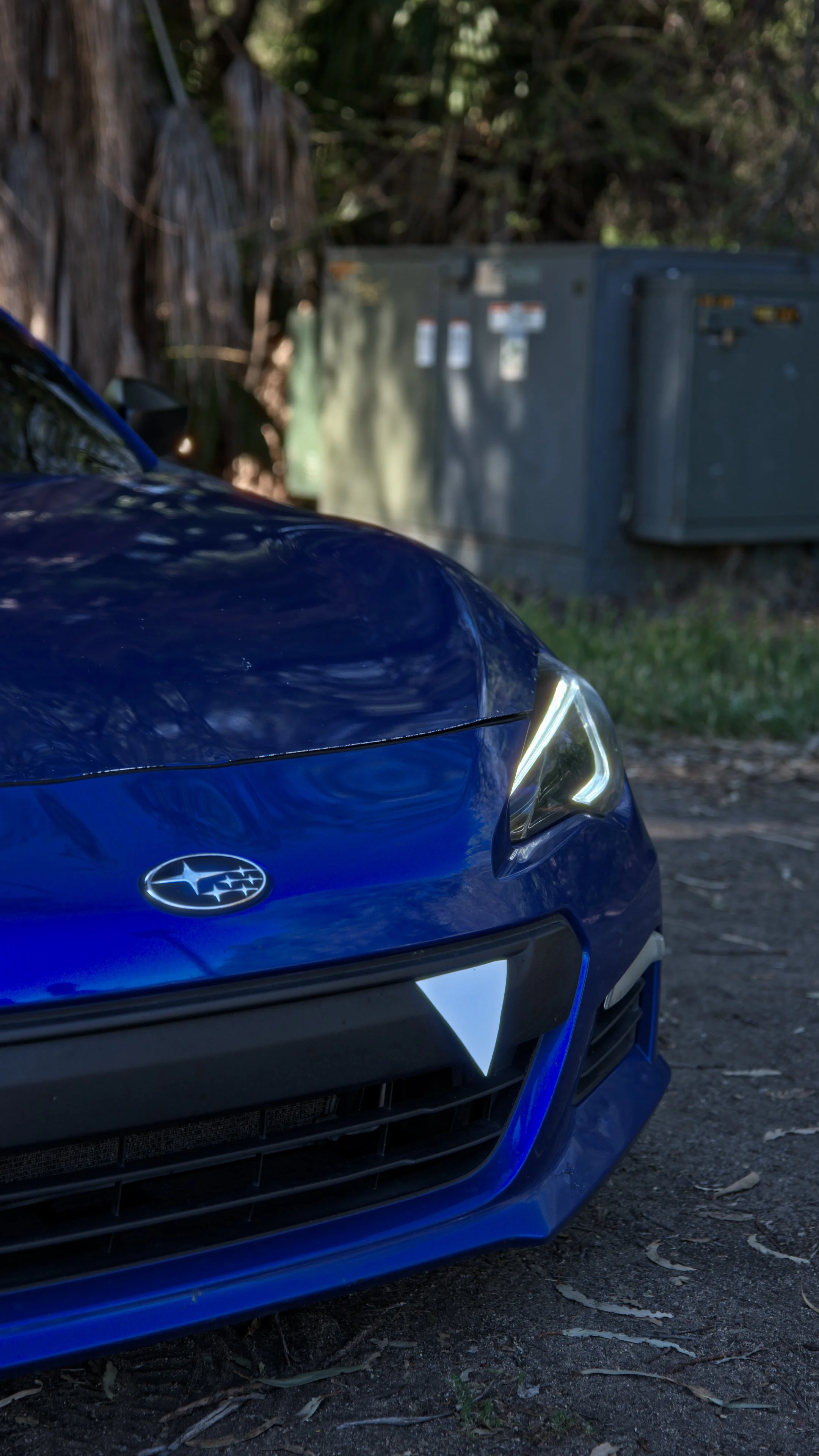 Close-up of the front of a blue Subaru car, focusing on the hood, headlight, and front grille, with trees and utility boxes in the background.