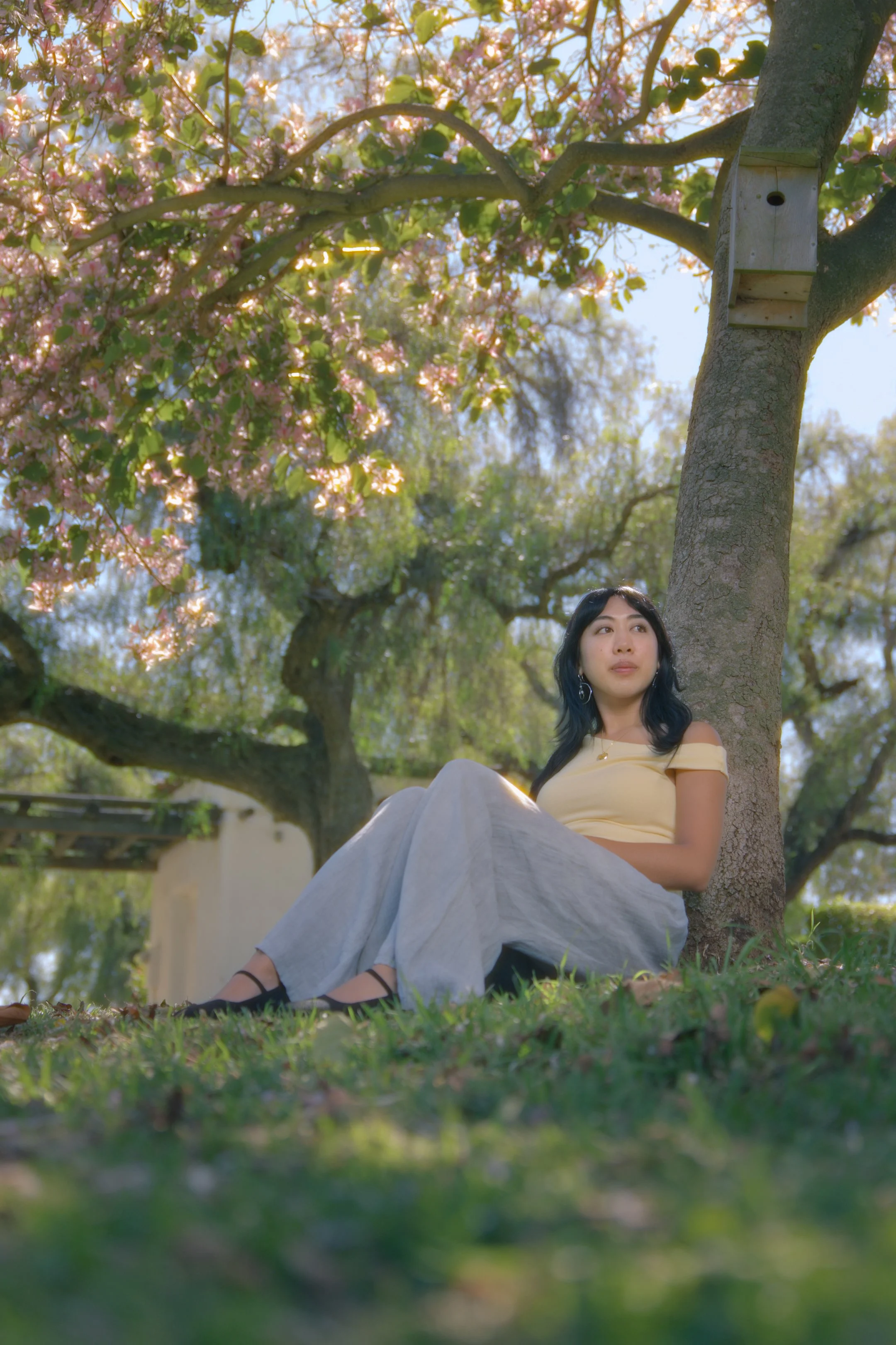 A young woman sitting on the grass leaning against a tree trunk in a park, with pink blossoms overhead and other trees in the background.