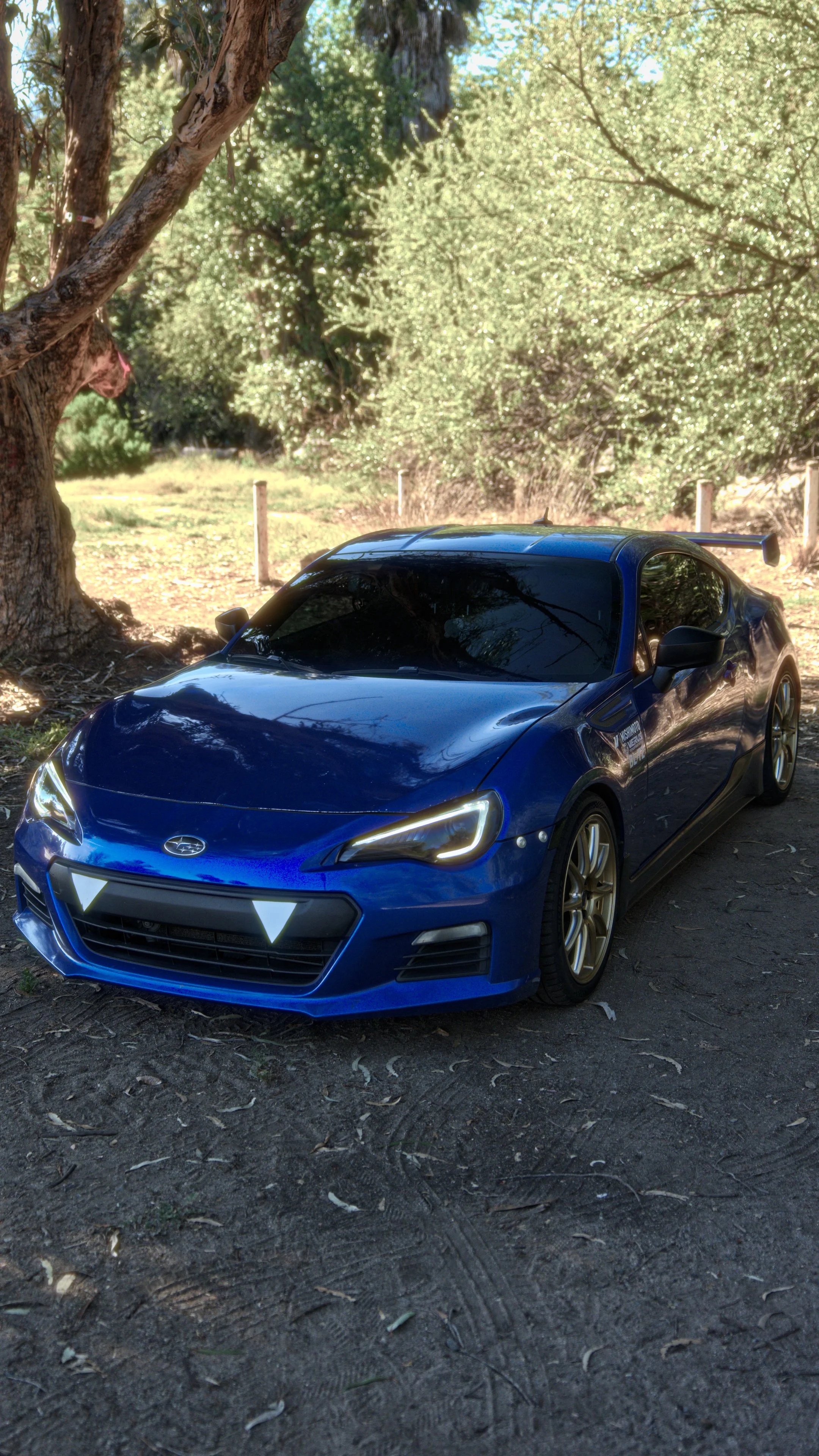 A blue sports car parked on dirt under a tree in a natural setting, with a forest and sunlight in the background.