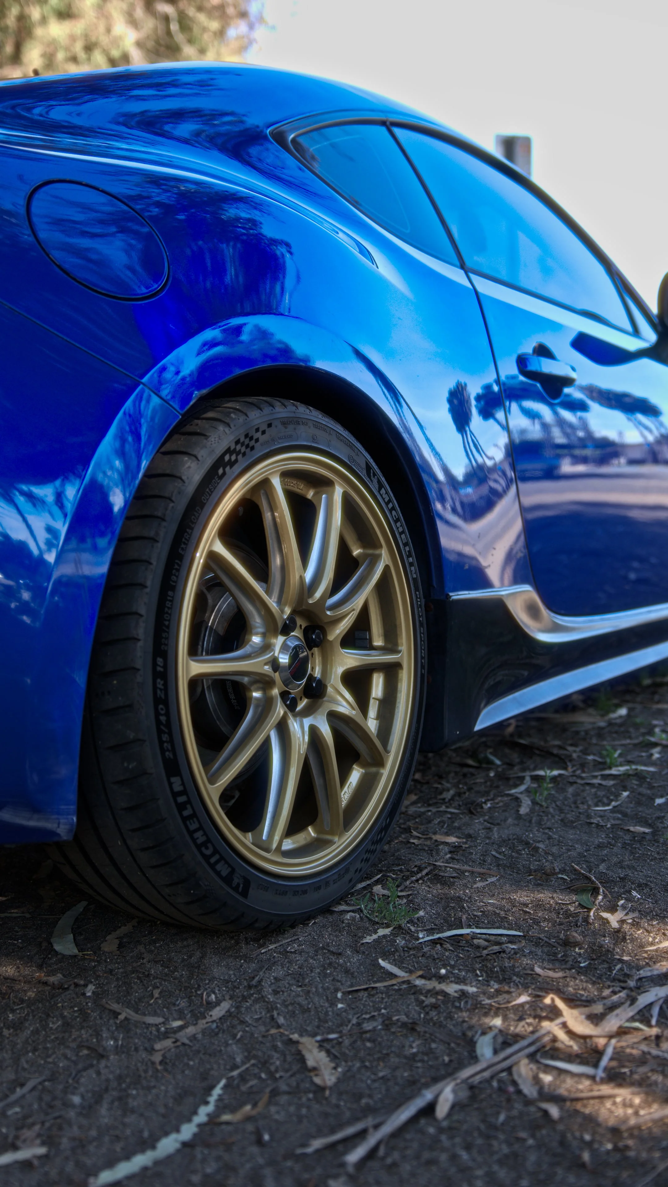 Close-up of a blue sports car with gold wheels parked on dirt with leaves, palm trees, and a clear sky reflected on its surface.