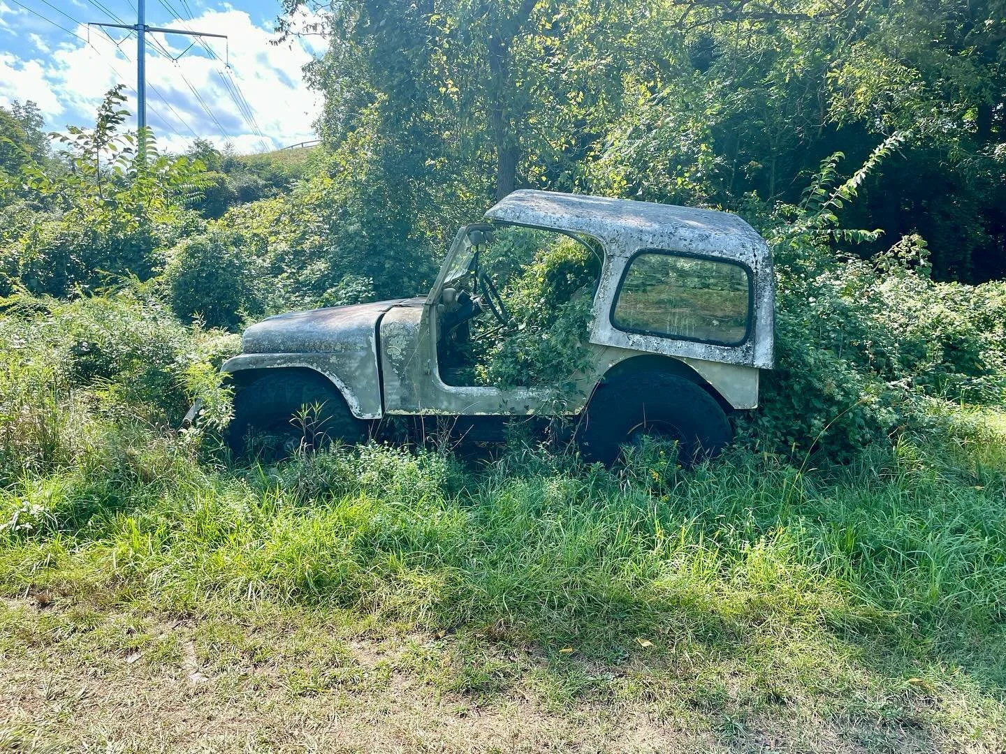 Artifacts from a potential new site. 🥕