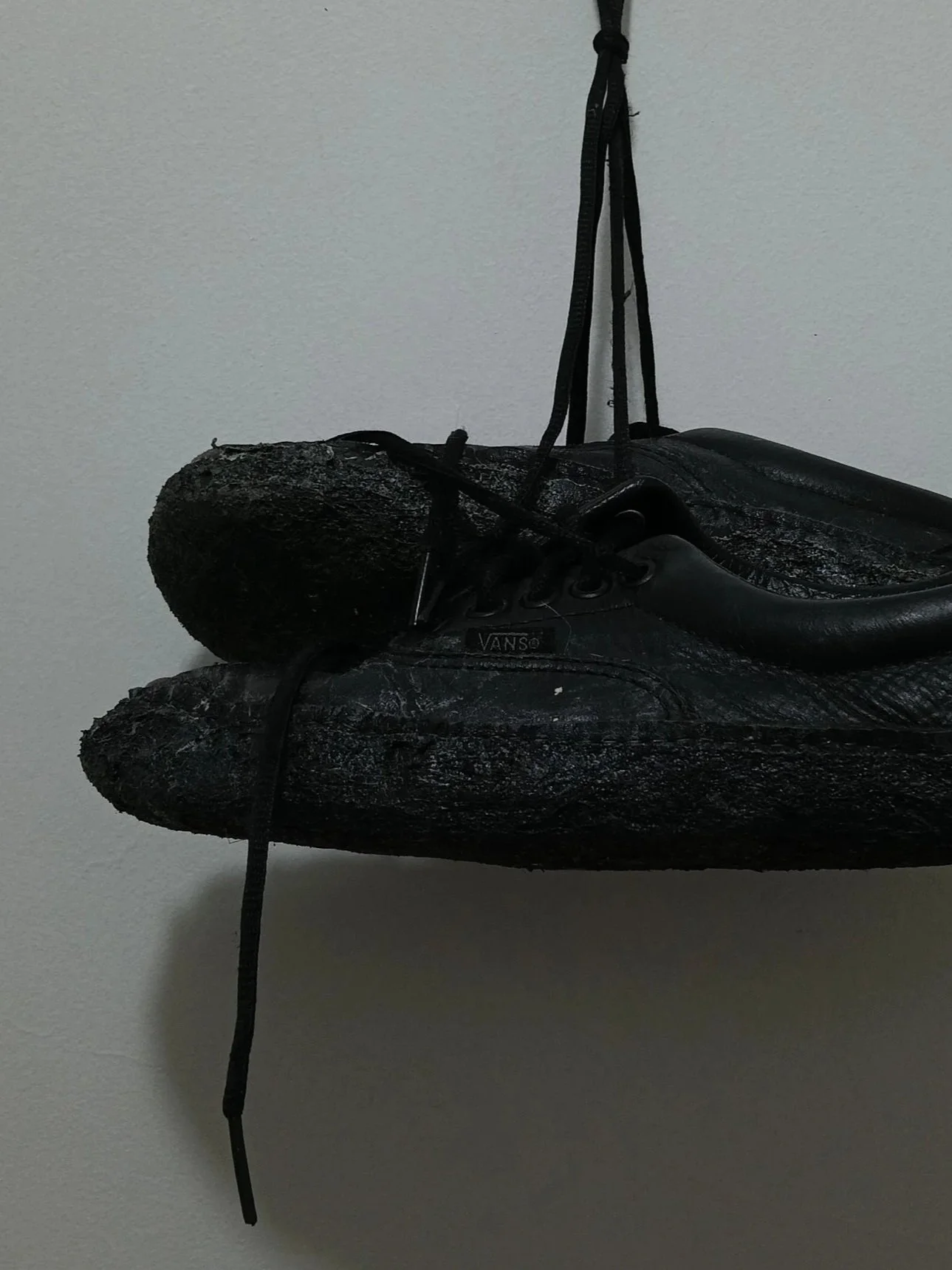 Moccasin