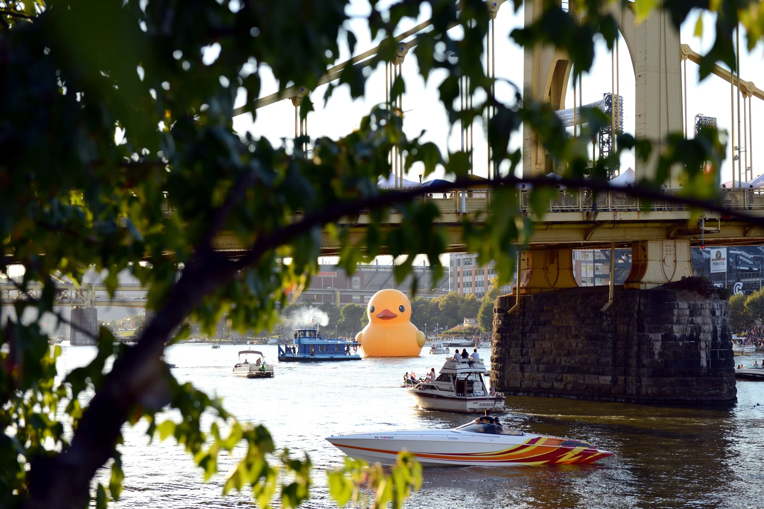 PCT_FH_DUCK_0080.jpg