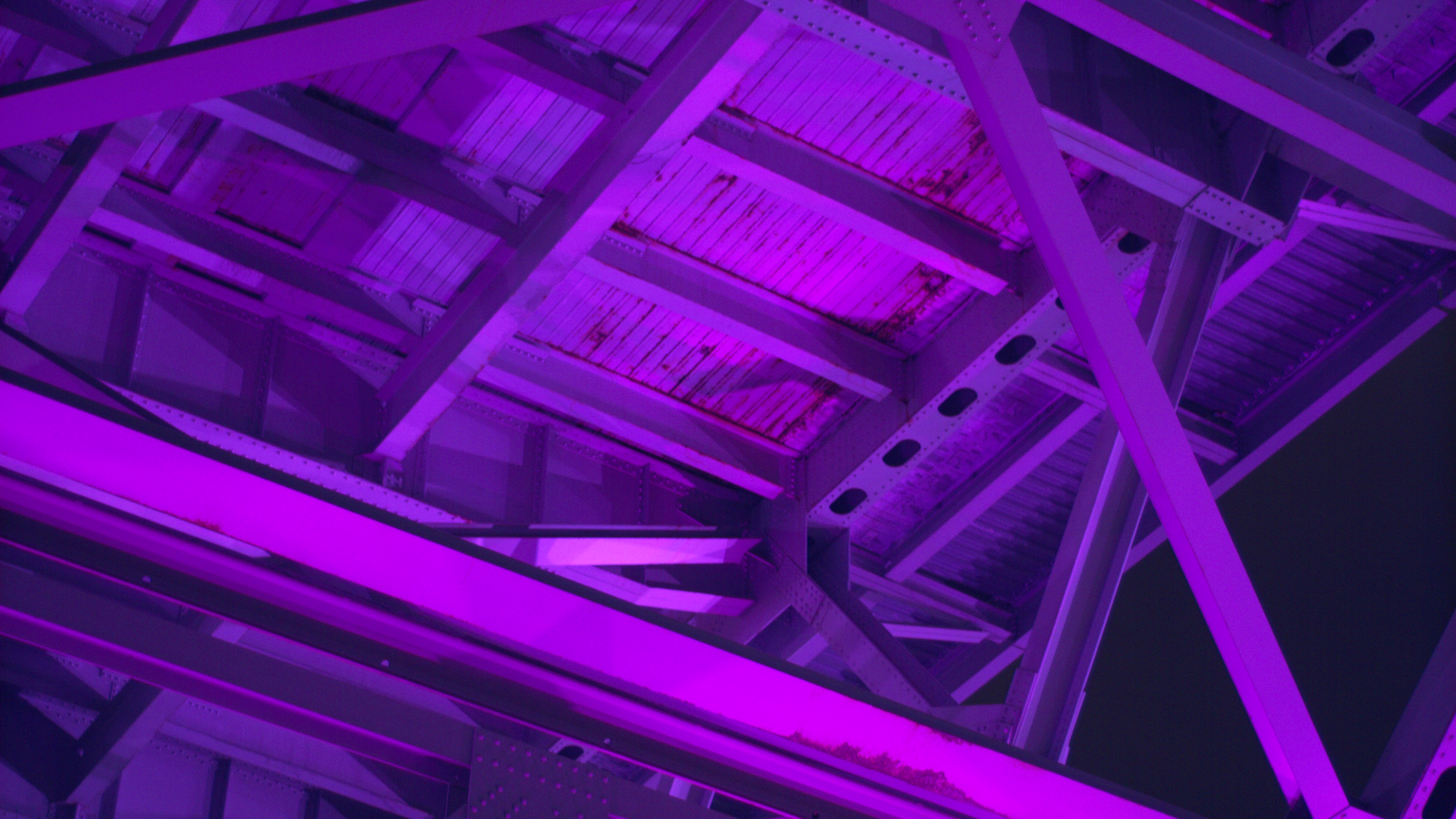 vlcsnap-2026-04-23-14h37m59s175.png