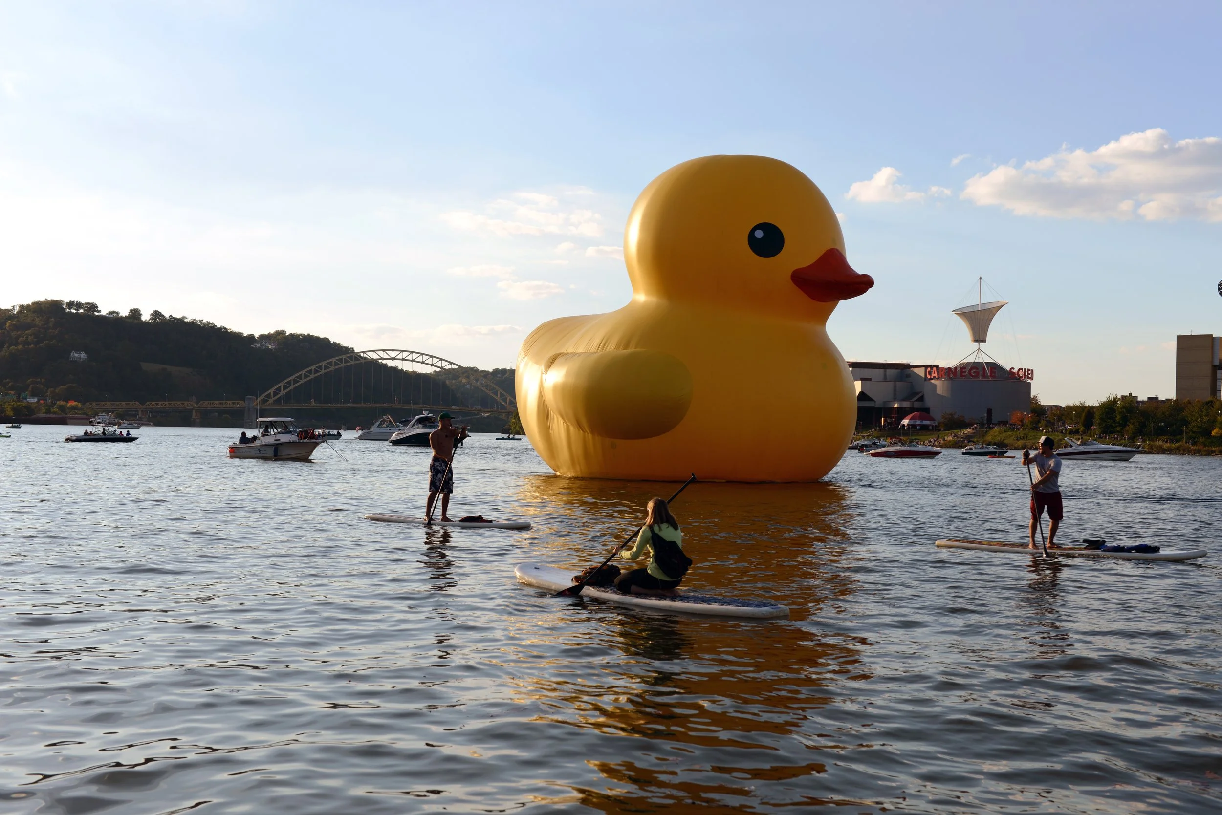 PCT_FH_DUCK_0033.jpg