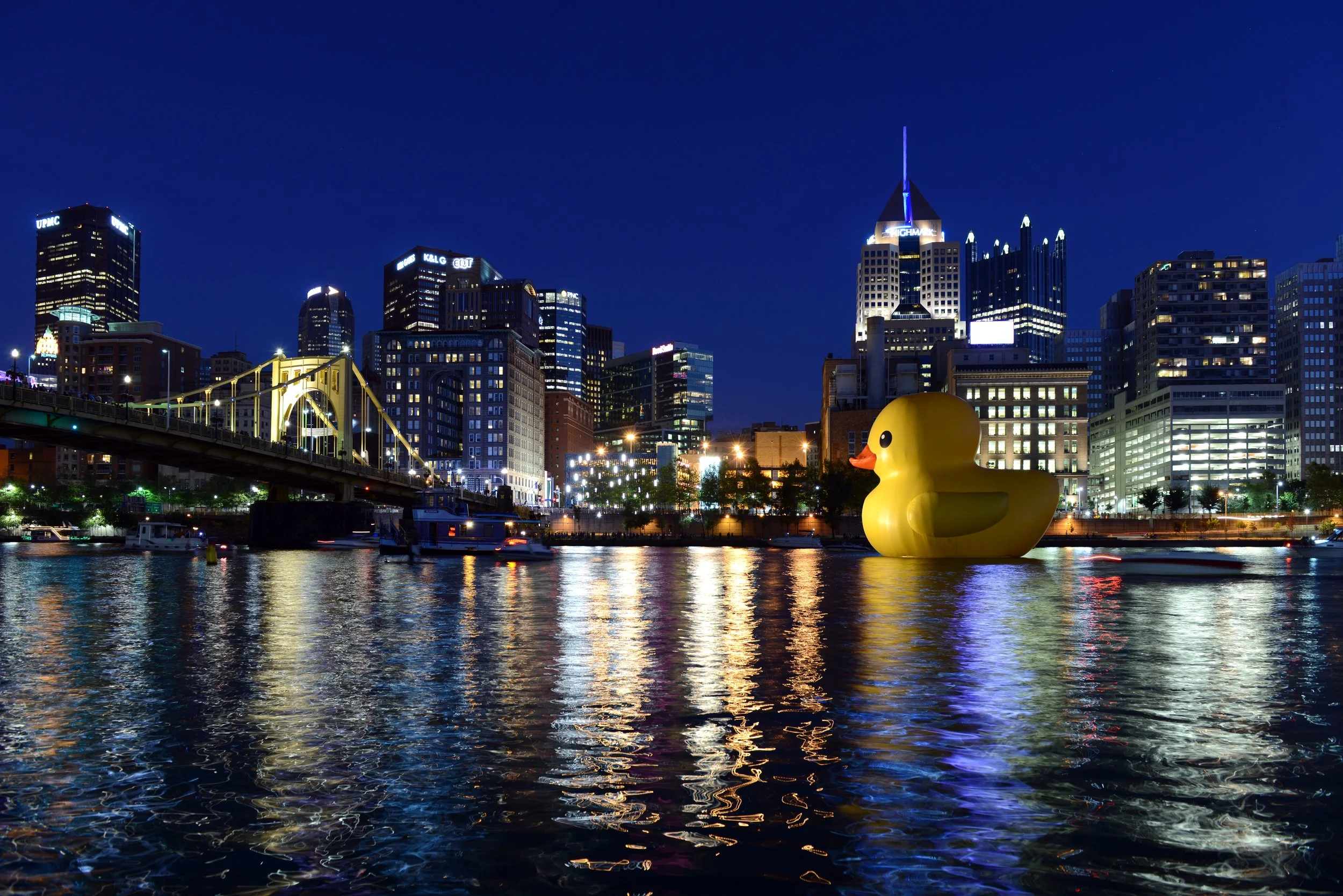PCT_FH_DUCK_0206.jpg