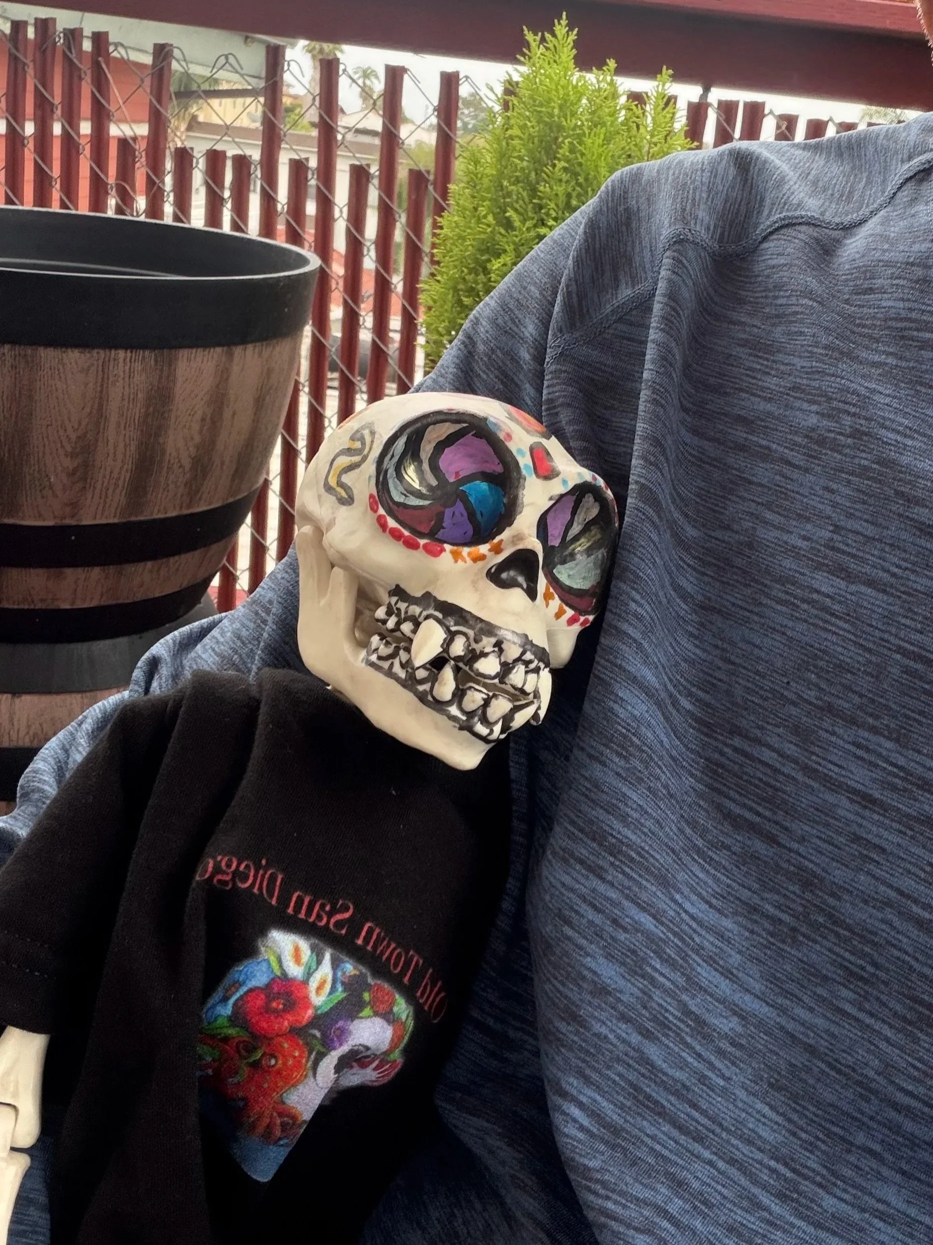 Huesito, the painted skeleton mascot of La Esquinas, cuddles beside Abuelo while wearing an Old Town San Diego mural T-shirt before an evening walk.