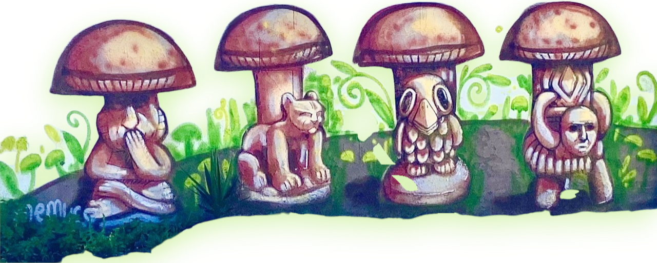 Edition III — The Watchful Four