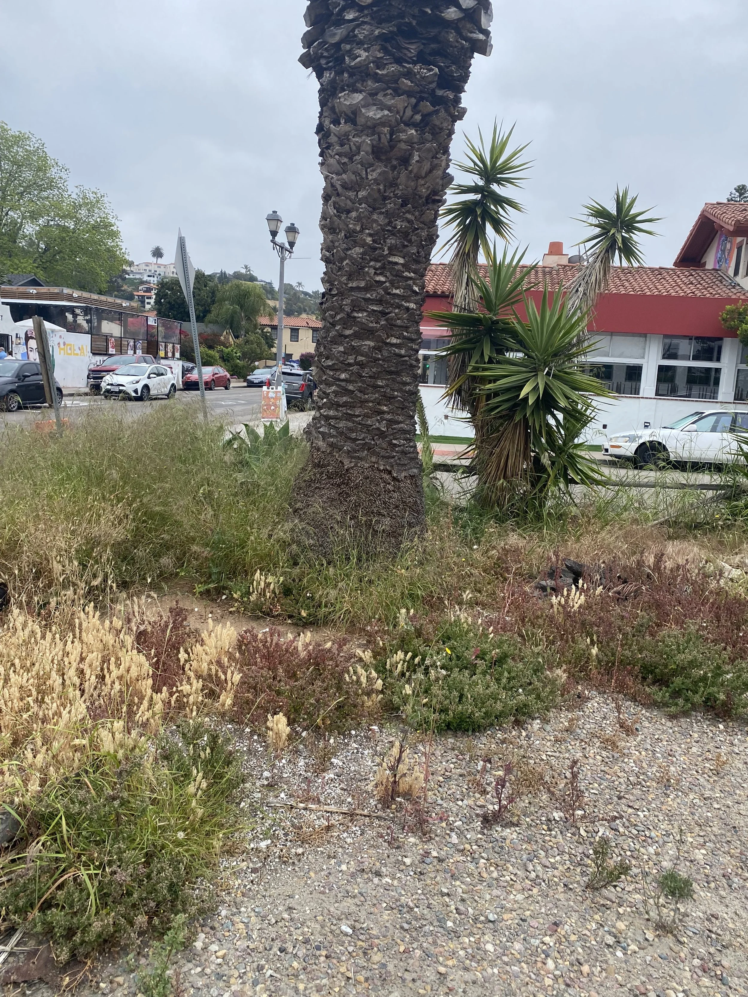 An overlooked corner in the heart of Old Town