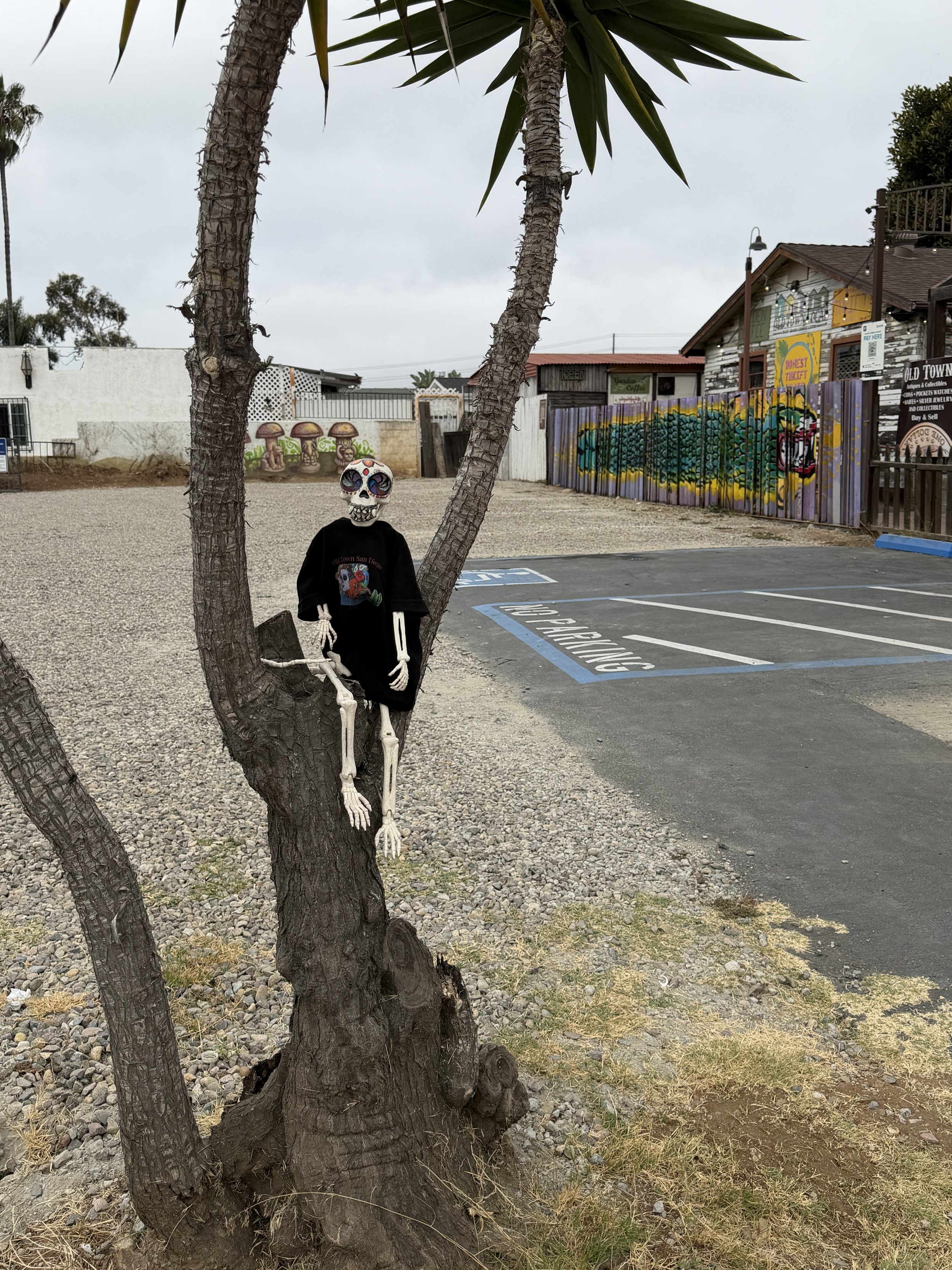Huesito's Evening Stroll