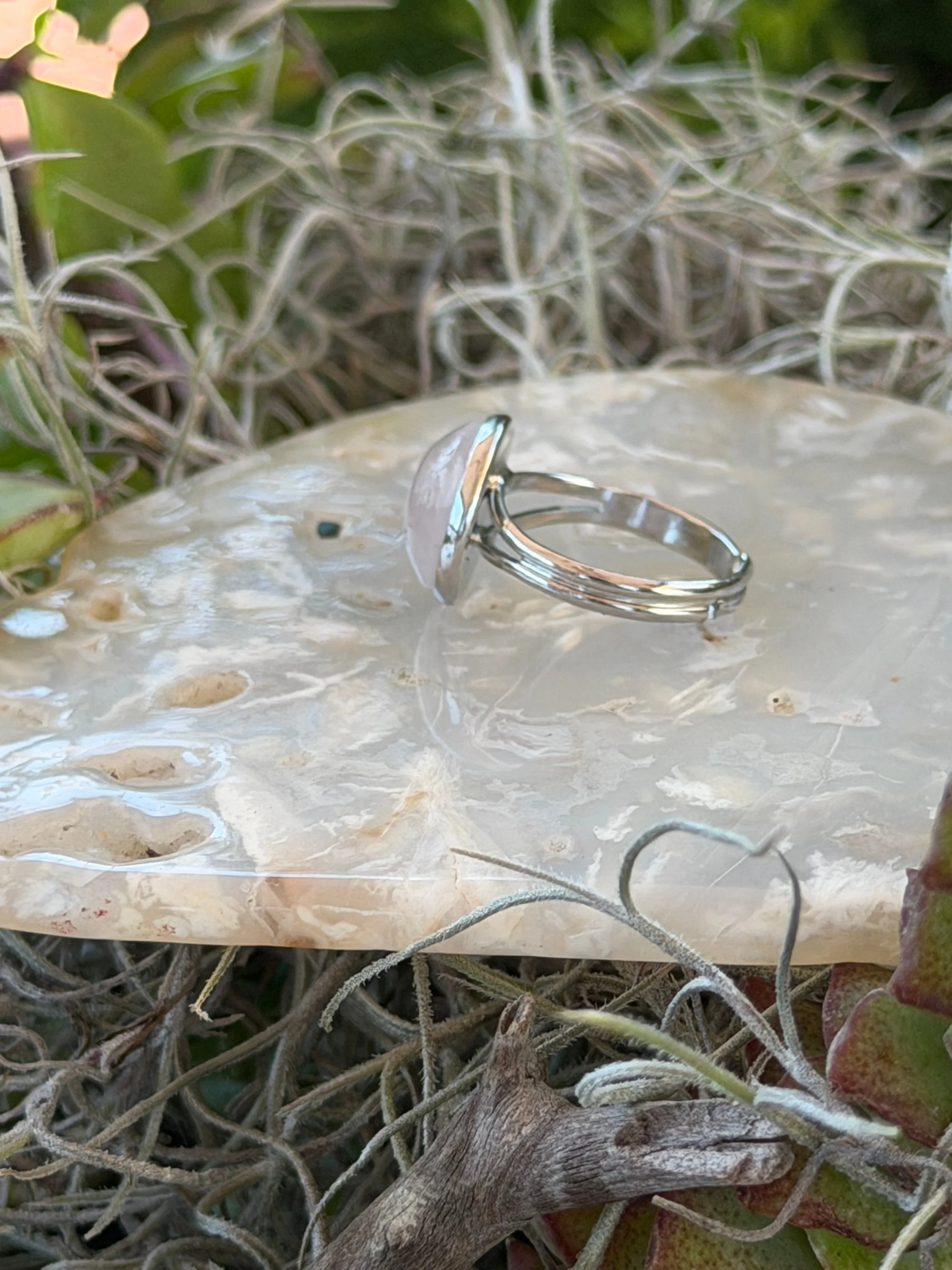 IMG_0629.jpg