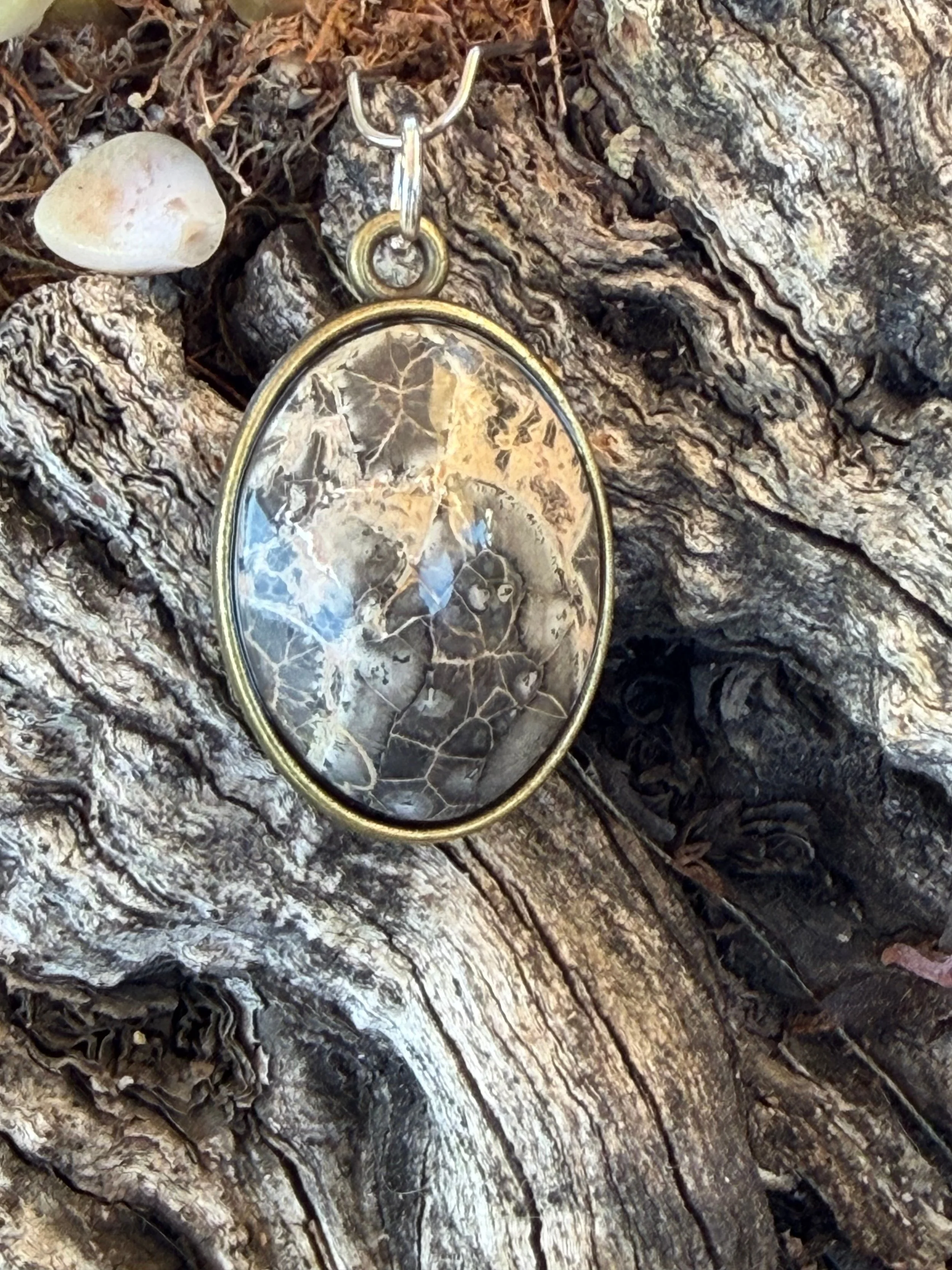 IMG_0458.jpg