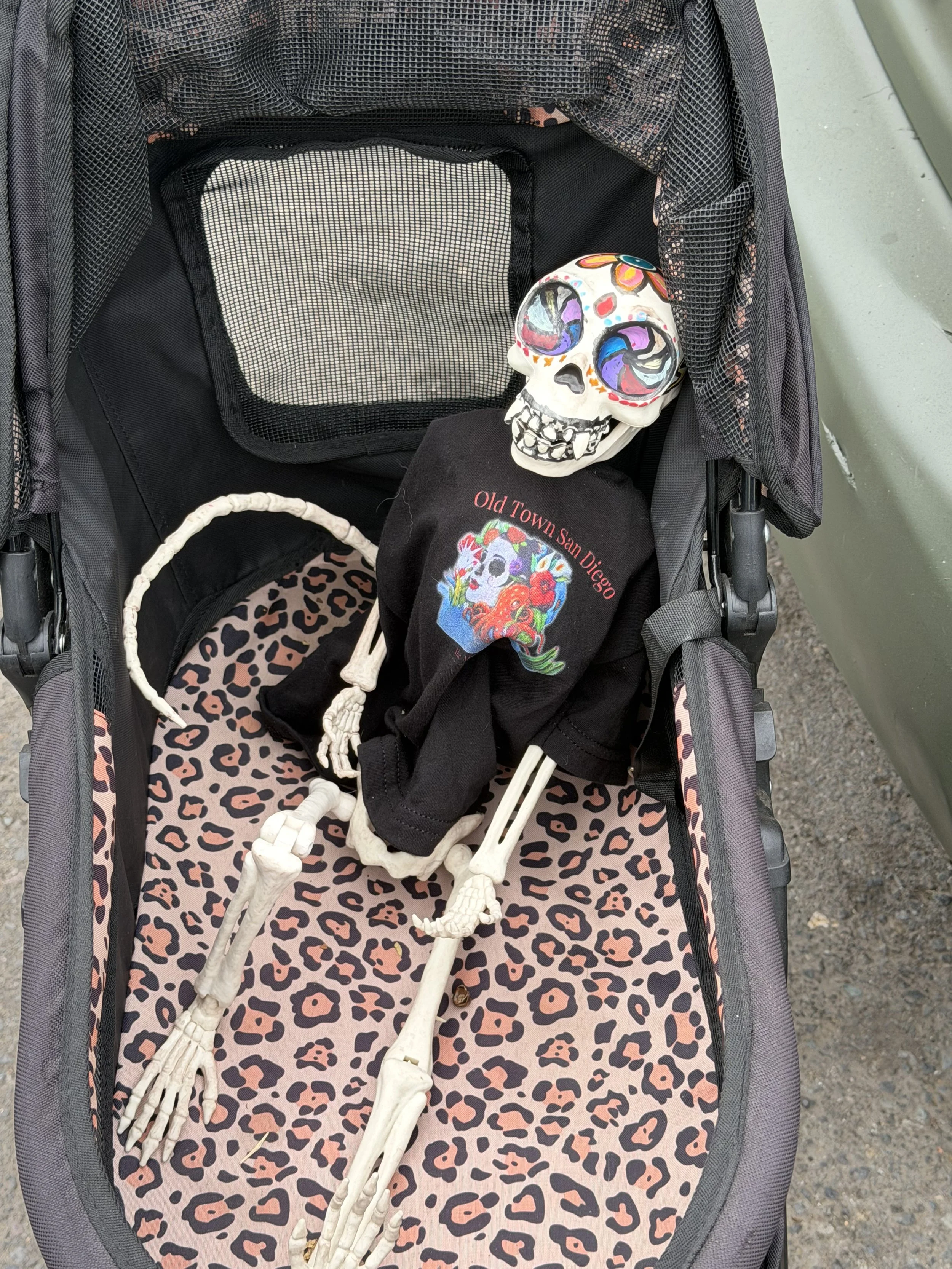 Huesito rides in a pet stroller wearing an Old Town San Diego mural shirt, ready to explore the streets and murals of Old Town.
