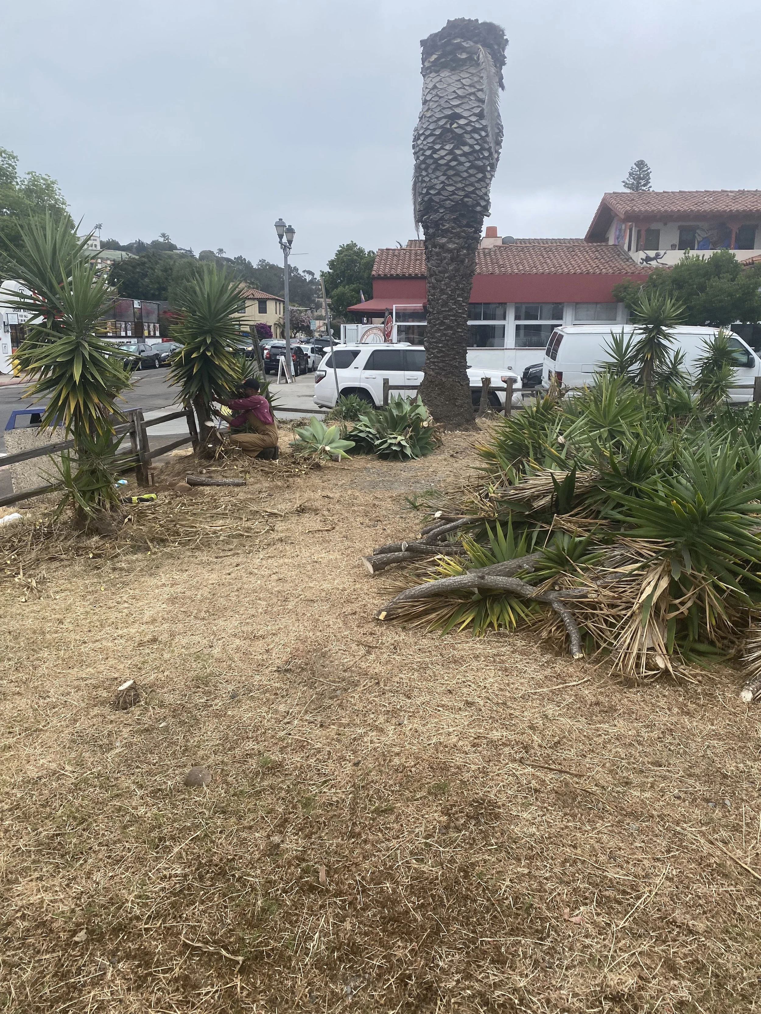 LaEsquinas front reveal rehab.jpeg