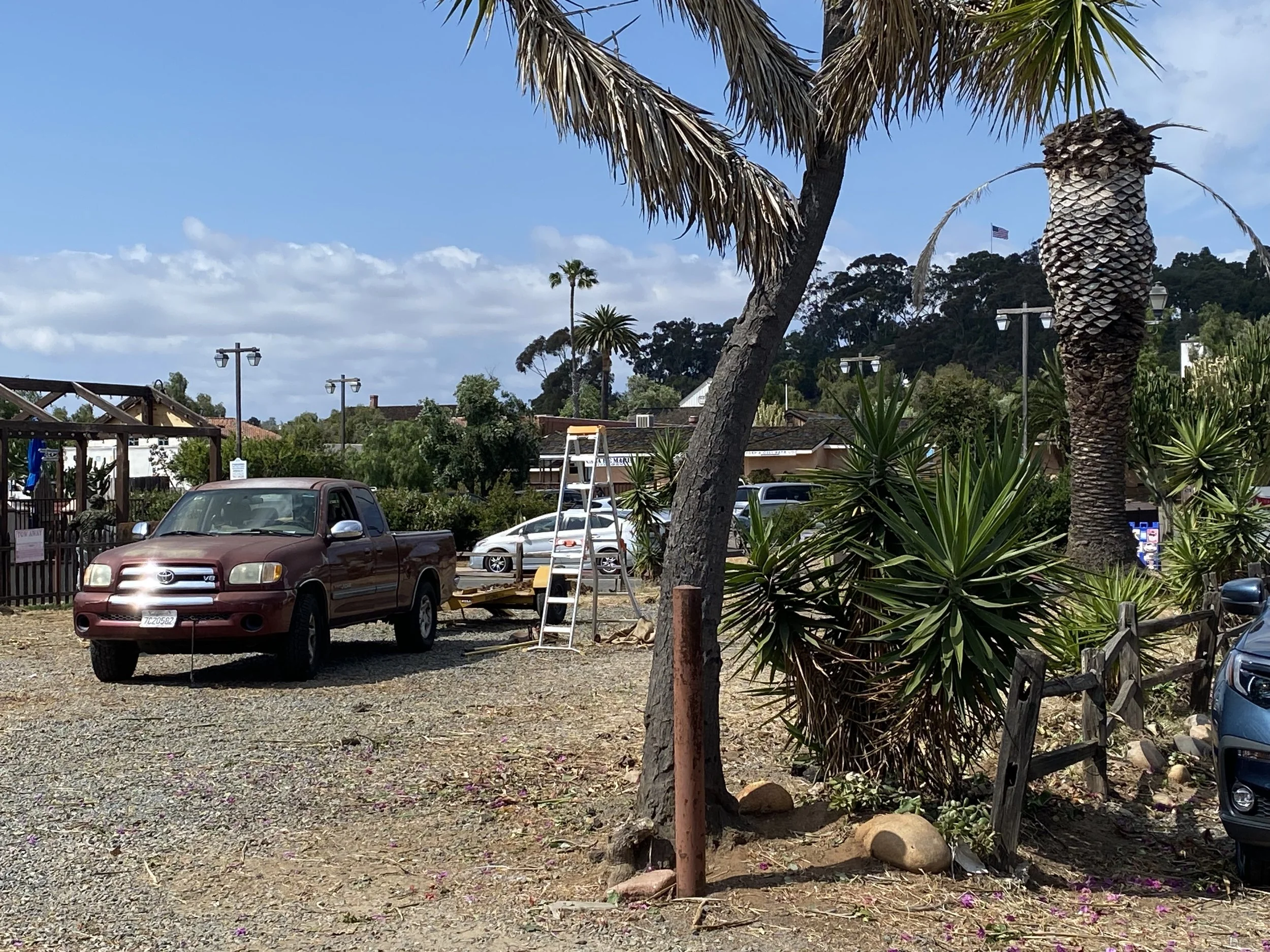 LaEsquinas tree removal rehab.jpeg