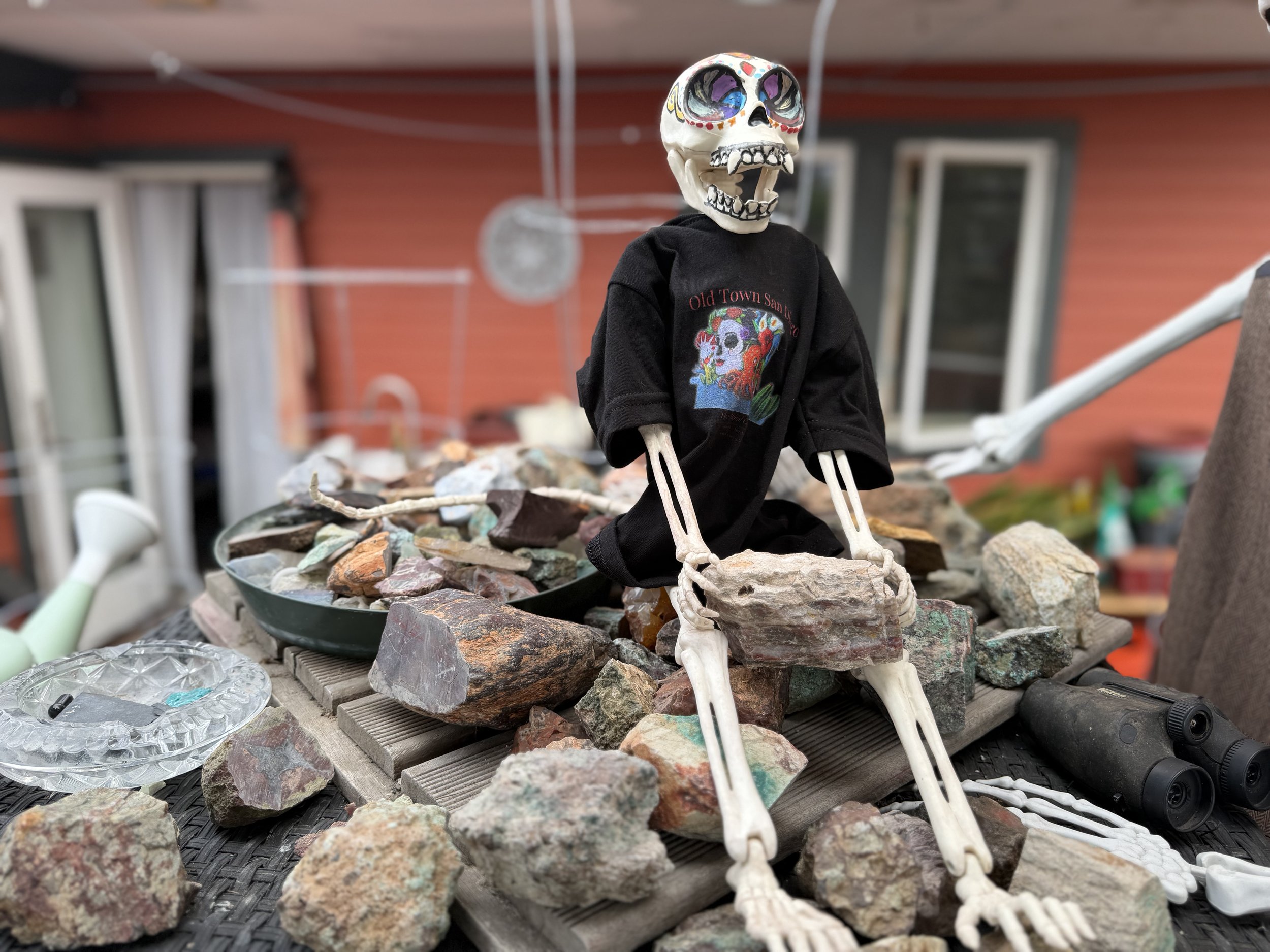 Huesito, a decorated Day of the Dead skeleton, sits among colorful rough gemstones while exploring stones for future cabochons at La Esquinas.