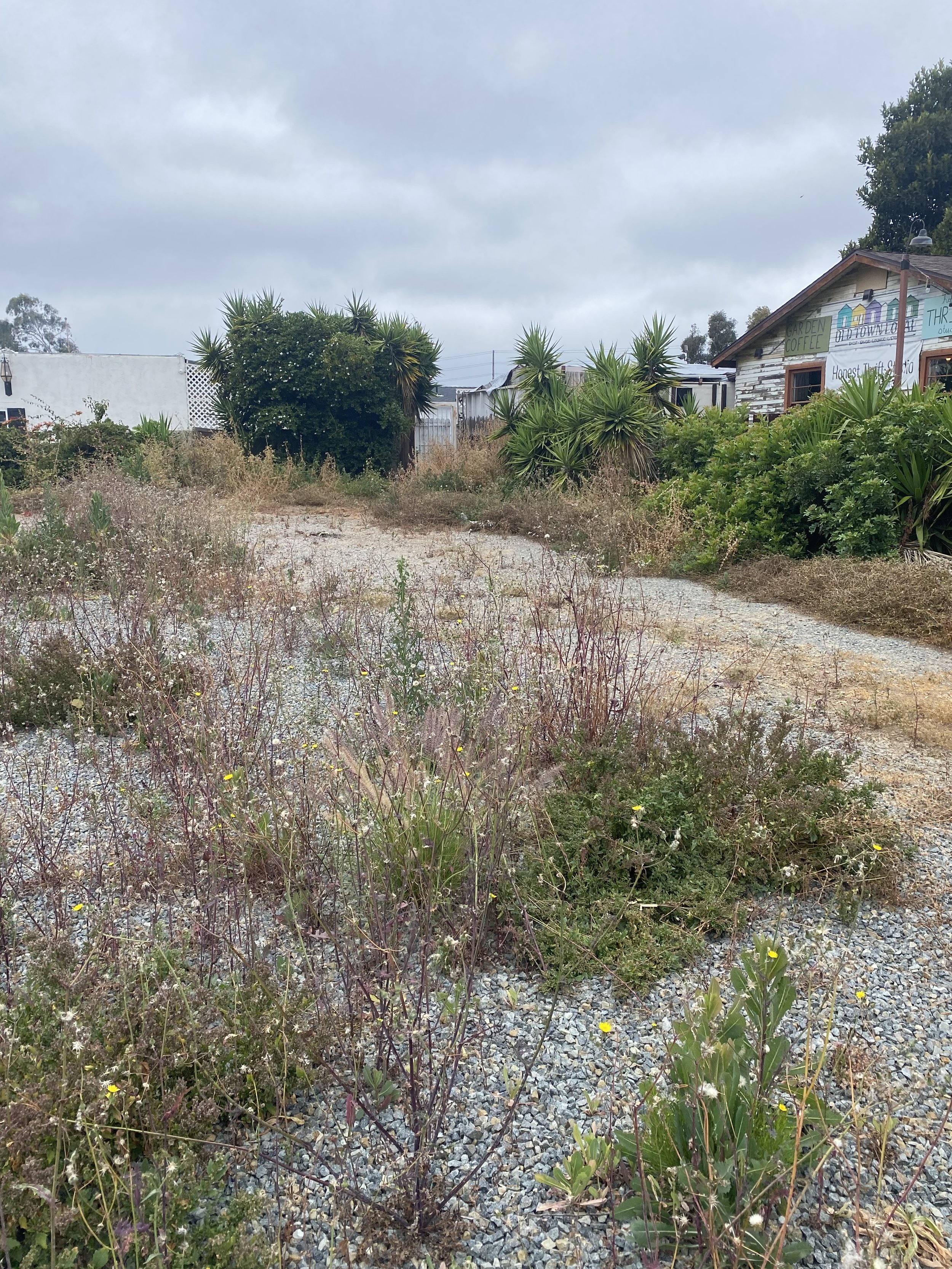Overgrown gravel lot at the future site of La Esquinas in Old Town San Diego before cleanup and restoration began.