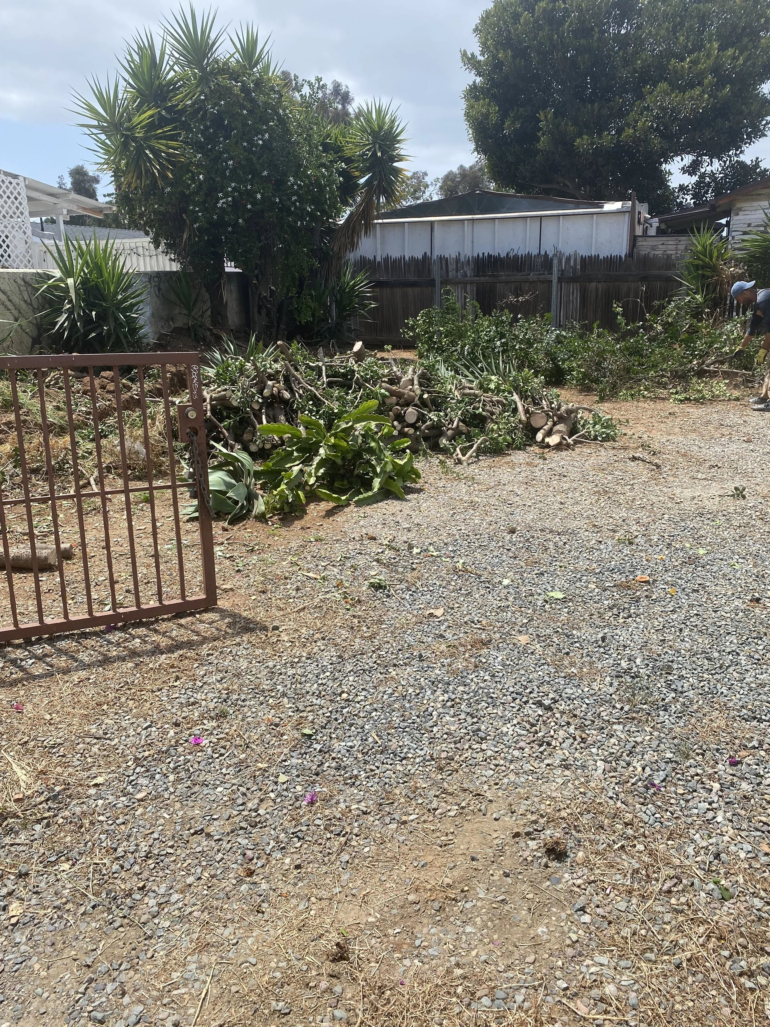 LaEsquinas fence reveal rehab.jpeg