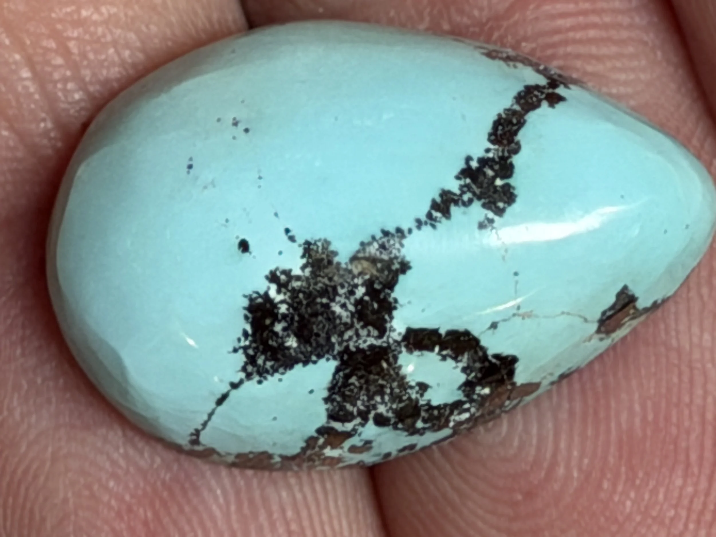 Natural sky-blue turquoise cabochon with bold black spiderweb matrix, polished to a high shine. Unique freeform turquoise gemstone showcasing distinctive natural veining and vivid color contrast.