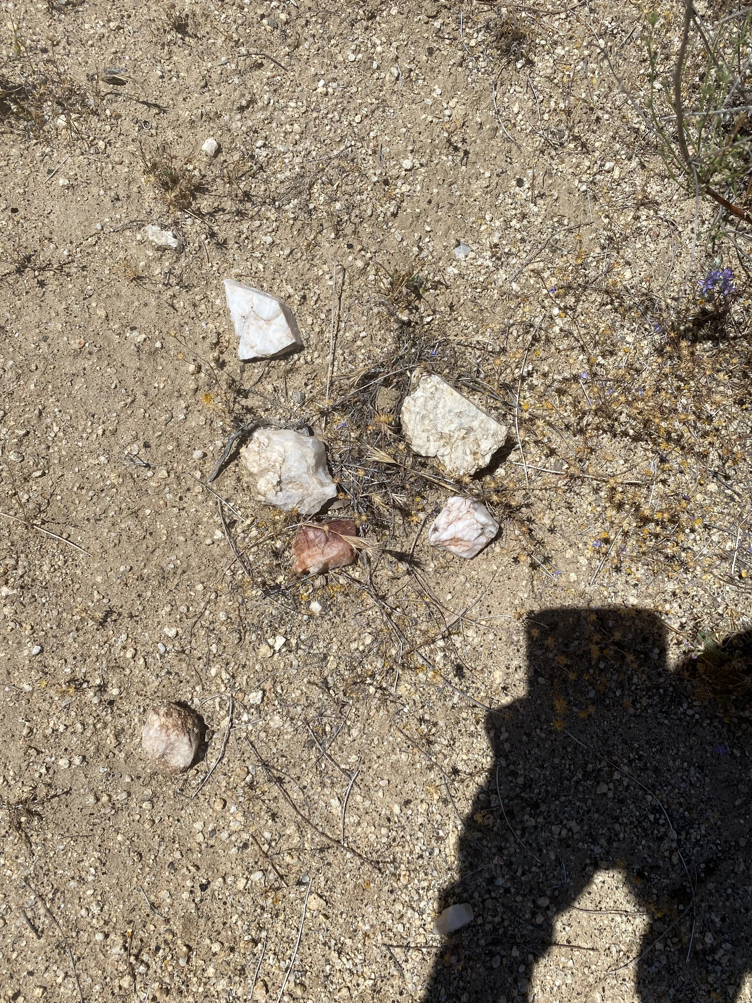 Natural quartz and mineral specimens discovered on the desert floor in McCain Valley, San Diego County, during a gemstone-hunting trip inspired by the historic Pala tourmaline mines.
