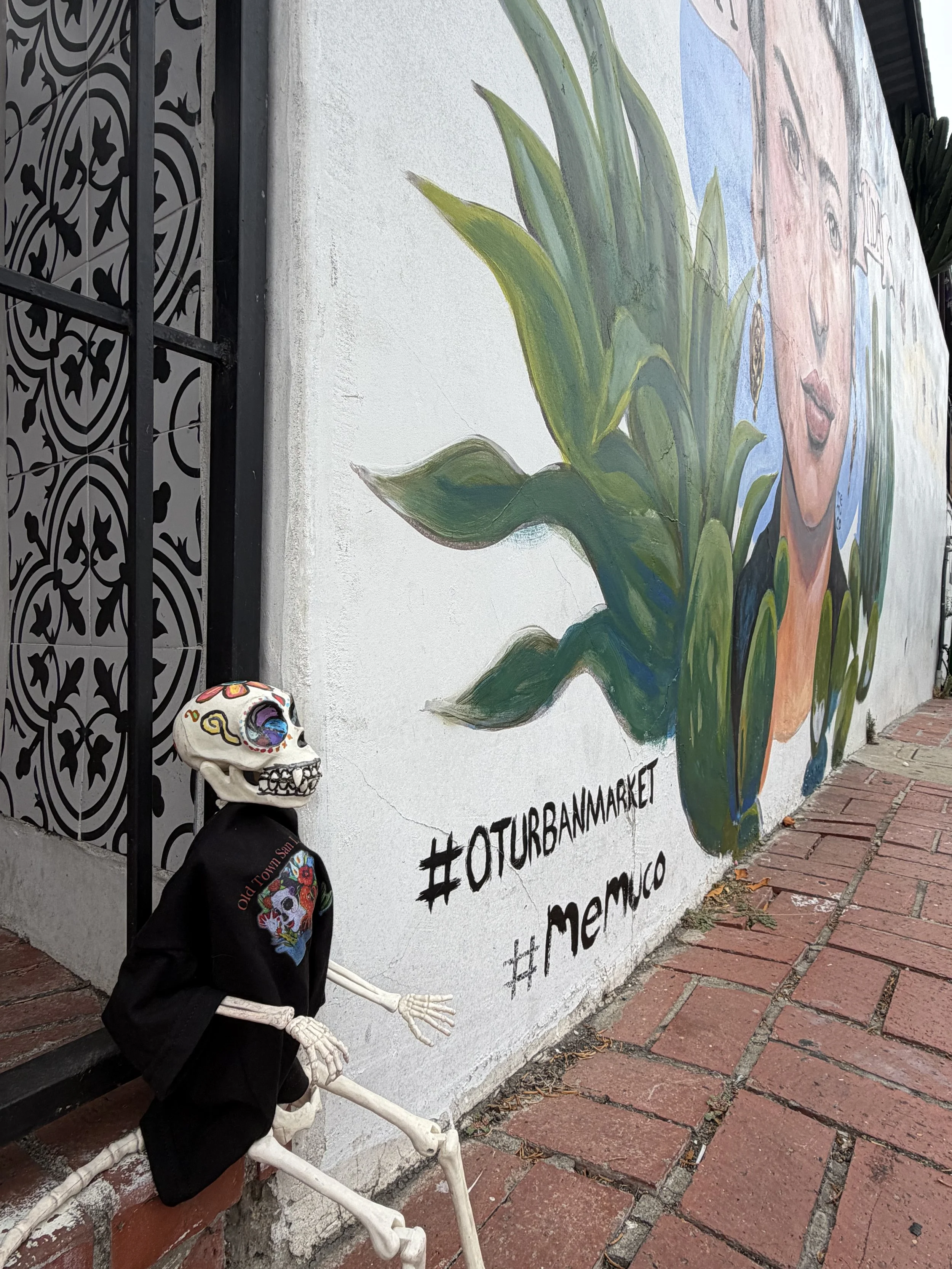 Huesito admiring the vibrant Frida Kahlo mural during his evening walk through Old Town San Diego.