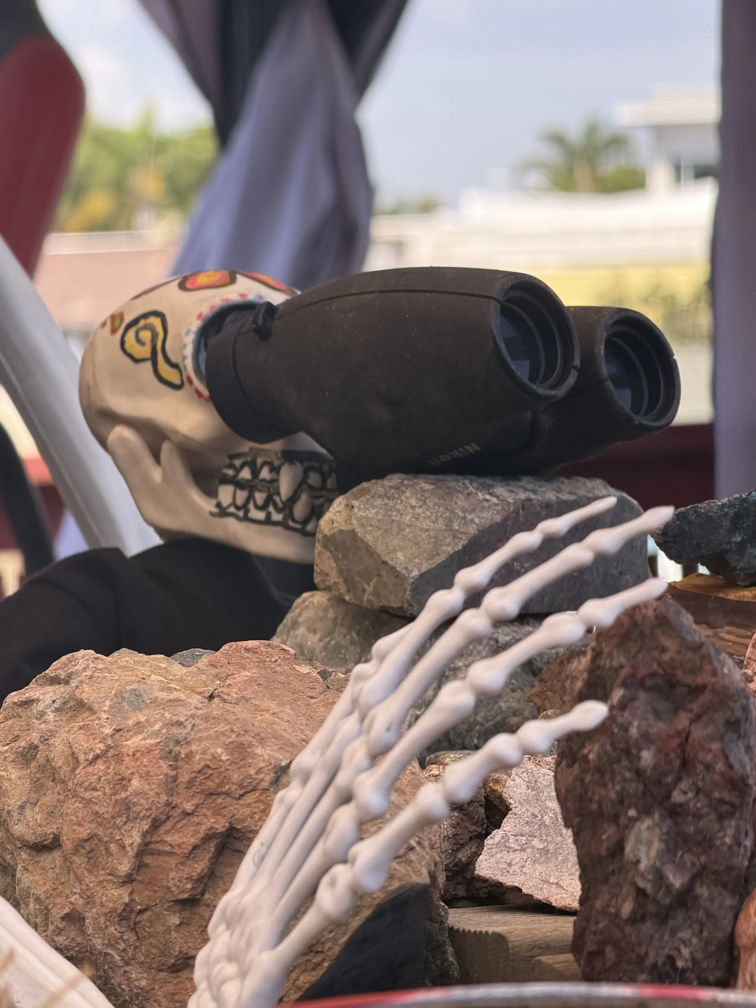 A pile of rocks with a black pair of binoculars on top, surrounded by a white plastic object resembling a bone, with a skull-shaped decorative item in the background.