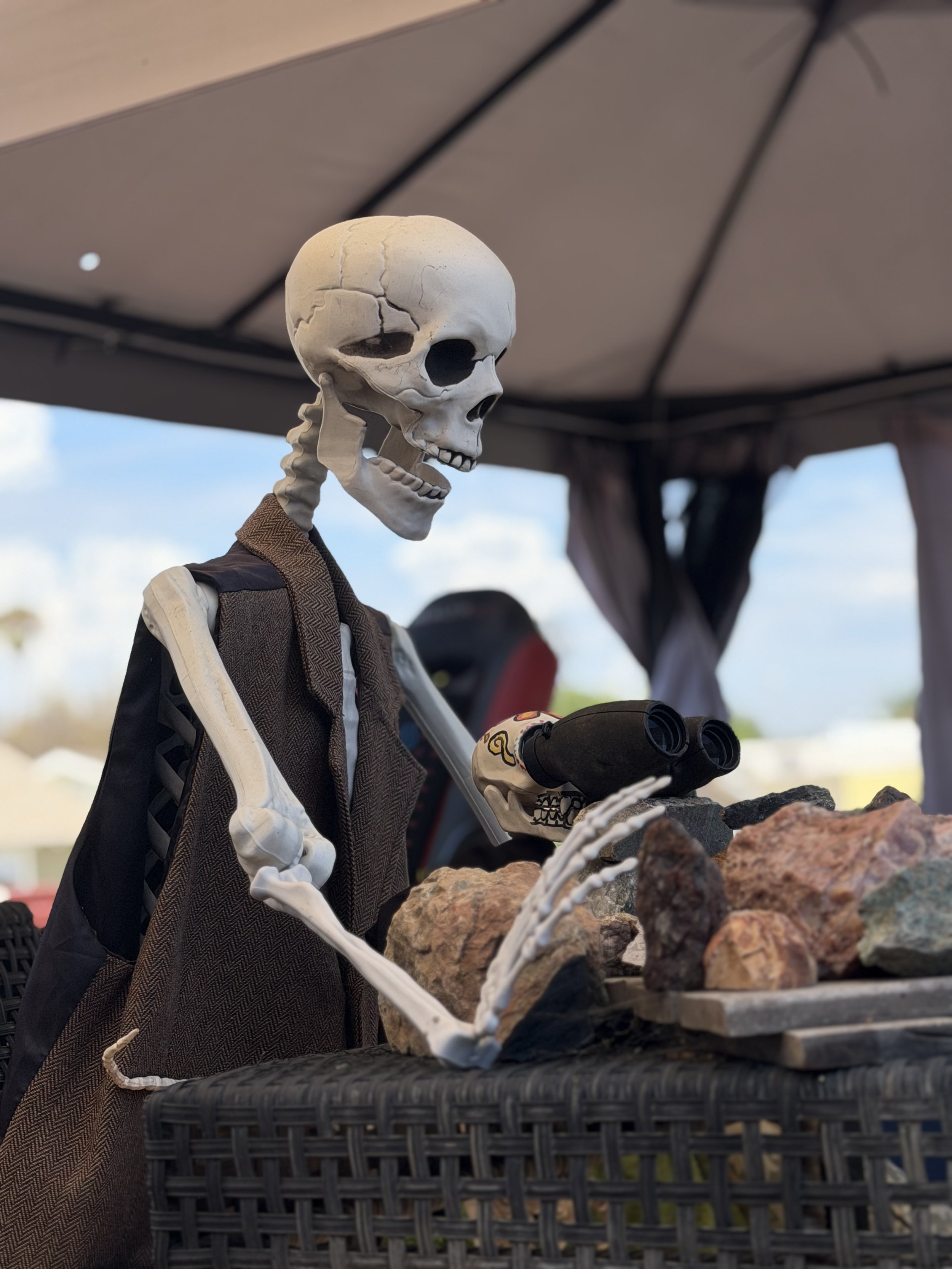 A skeleton wearing a vest stands behind a table with rocks and a skull, looking through binoculars at an outdoor setting, with a canopy overhead.