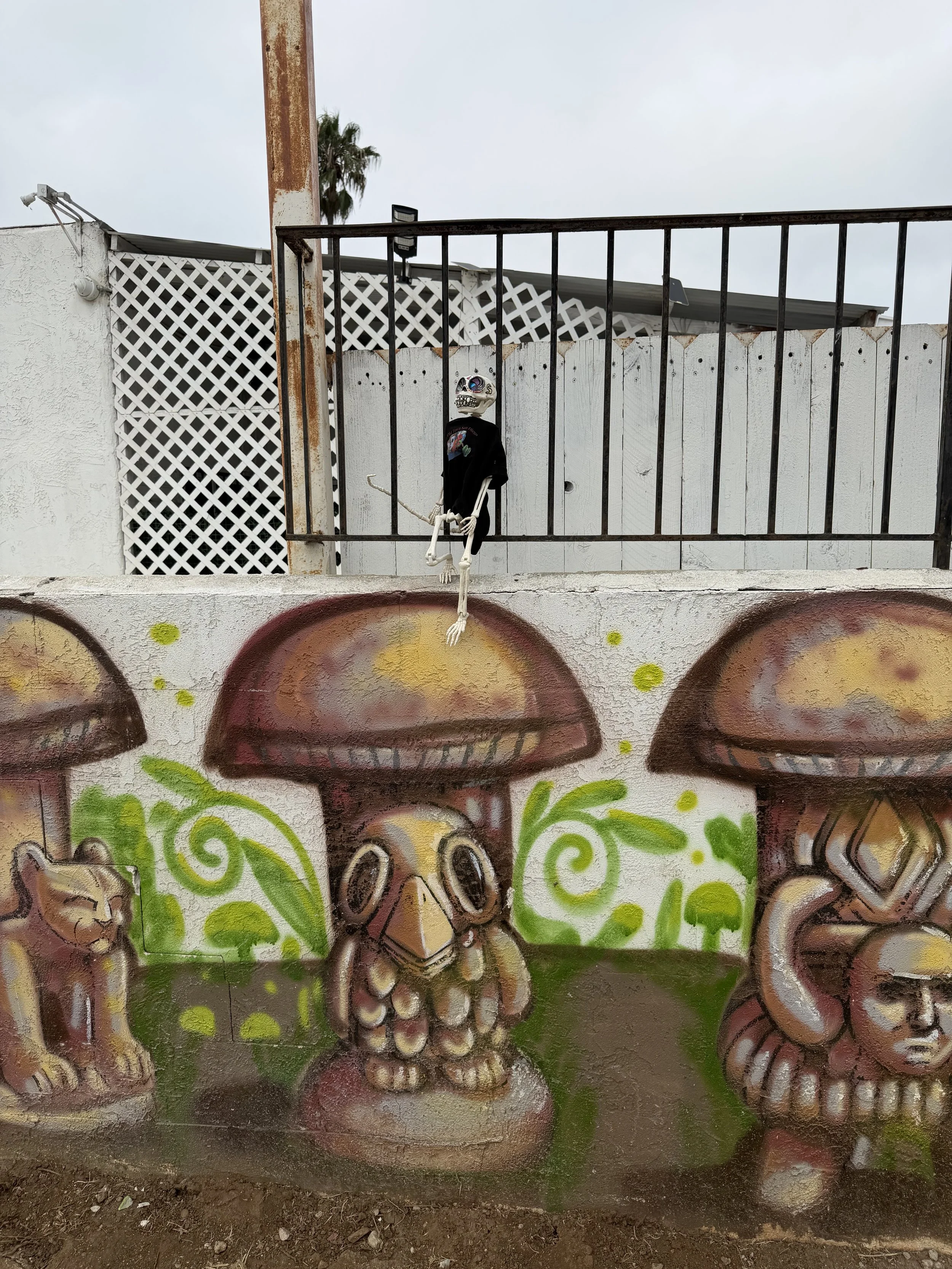 Wide view of the Watchful Four mural with Huesito perched above the artwork during his neighborhood adventure.