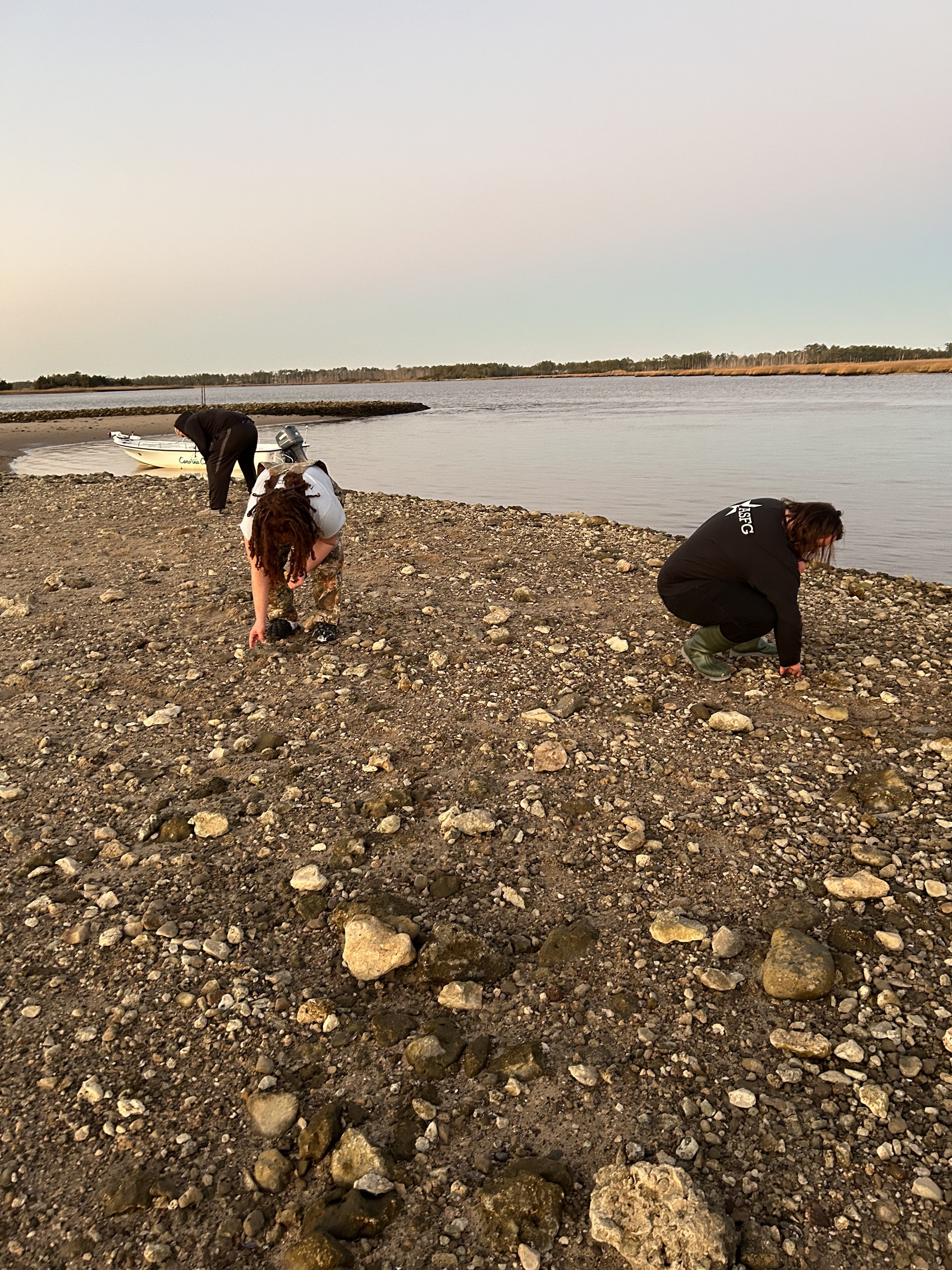 Three people are crouched down collecting rocks or shells on a rocky shoreline near a body of water, with a boat and distant trees visible in the background at sunset.