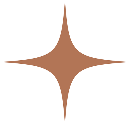 A star-shaped, orange-brown object with a pointed top and bottom, and wider sides.