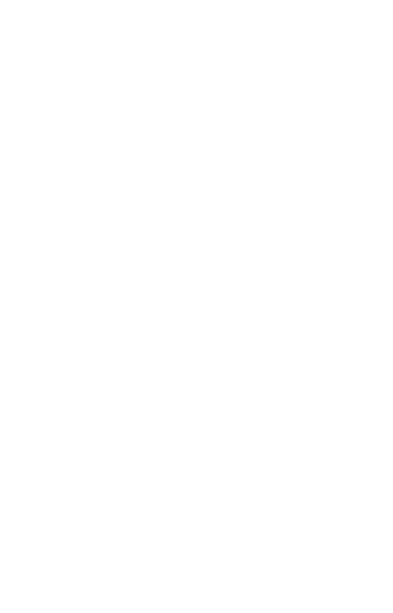THE LAW OFFICE OF VAL CAMBRONNE, PLLC