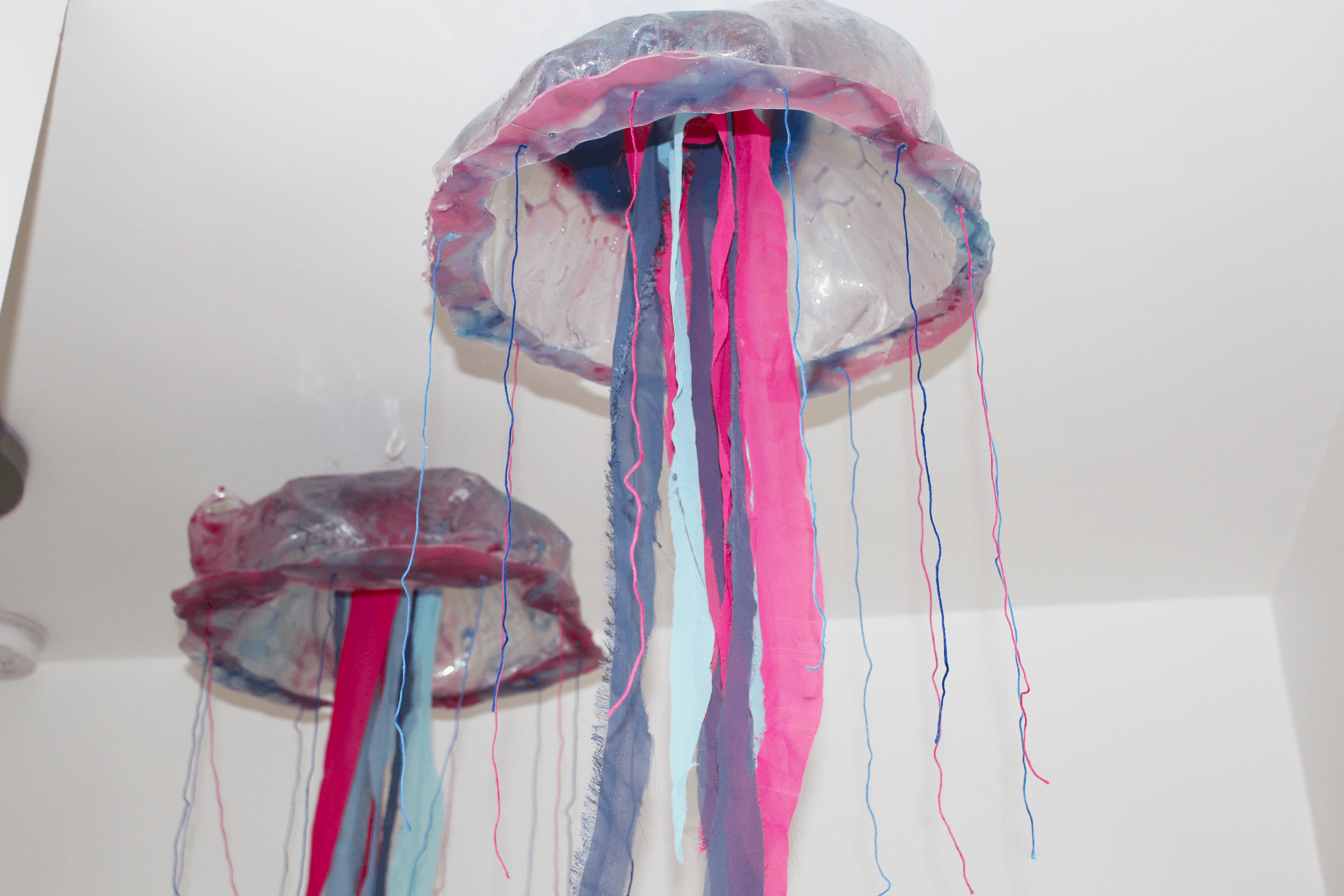 Jelly2.png
