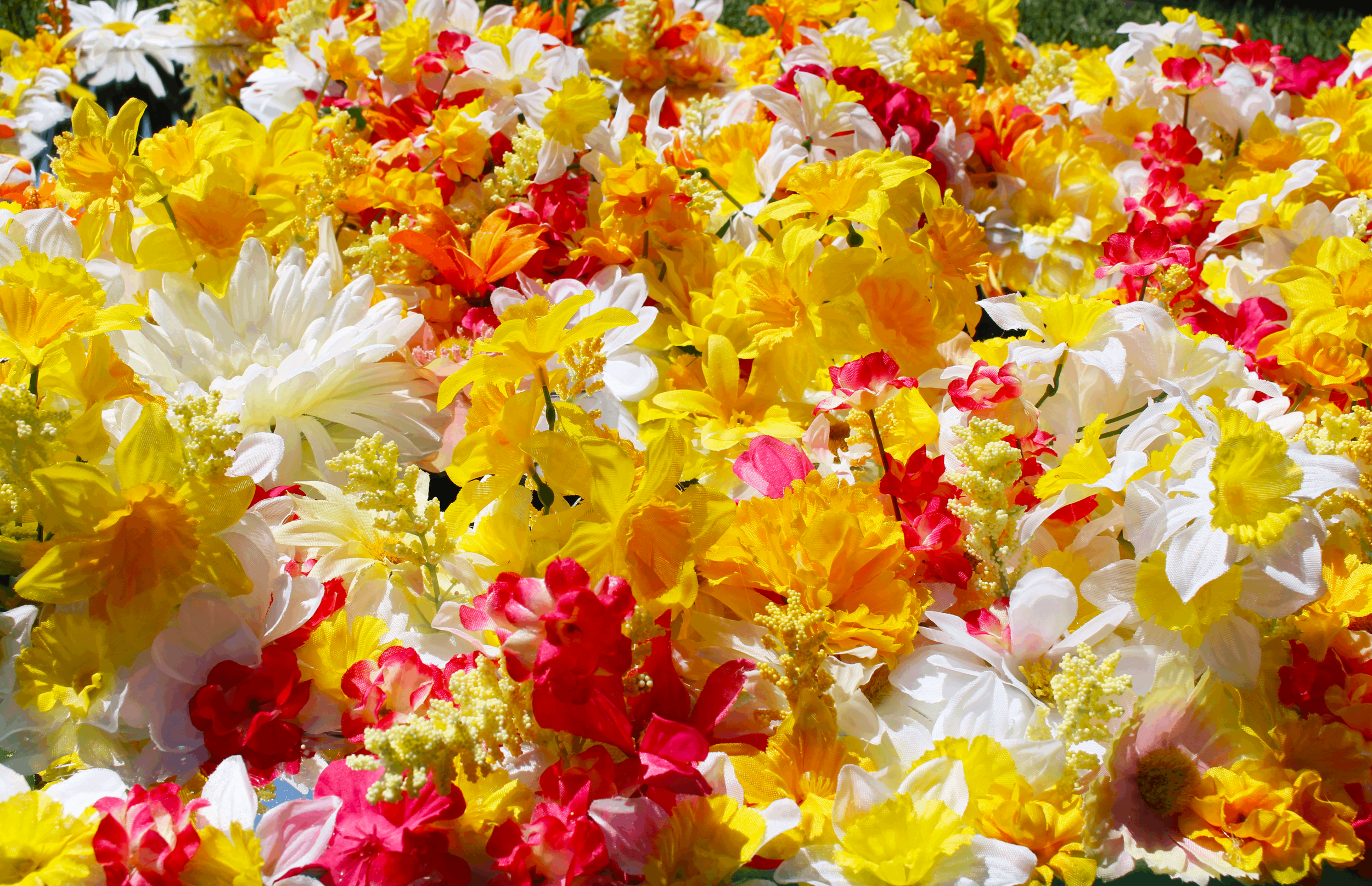 Floral5.png