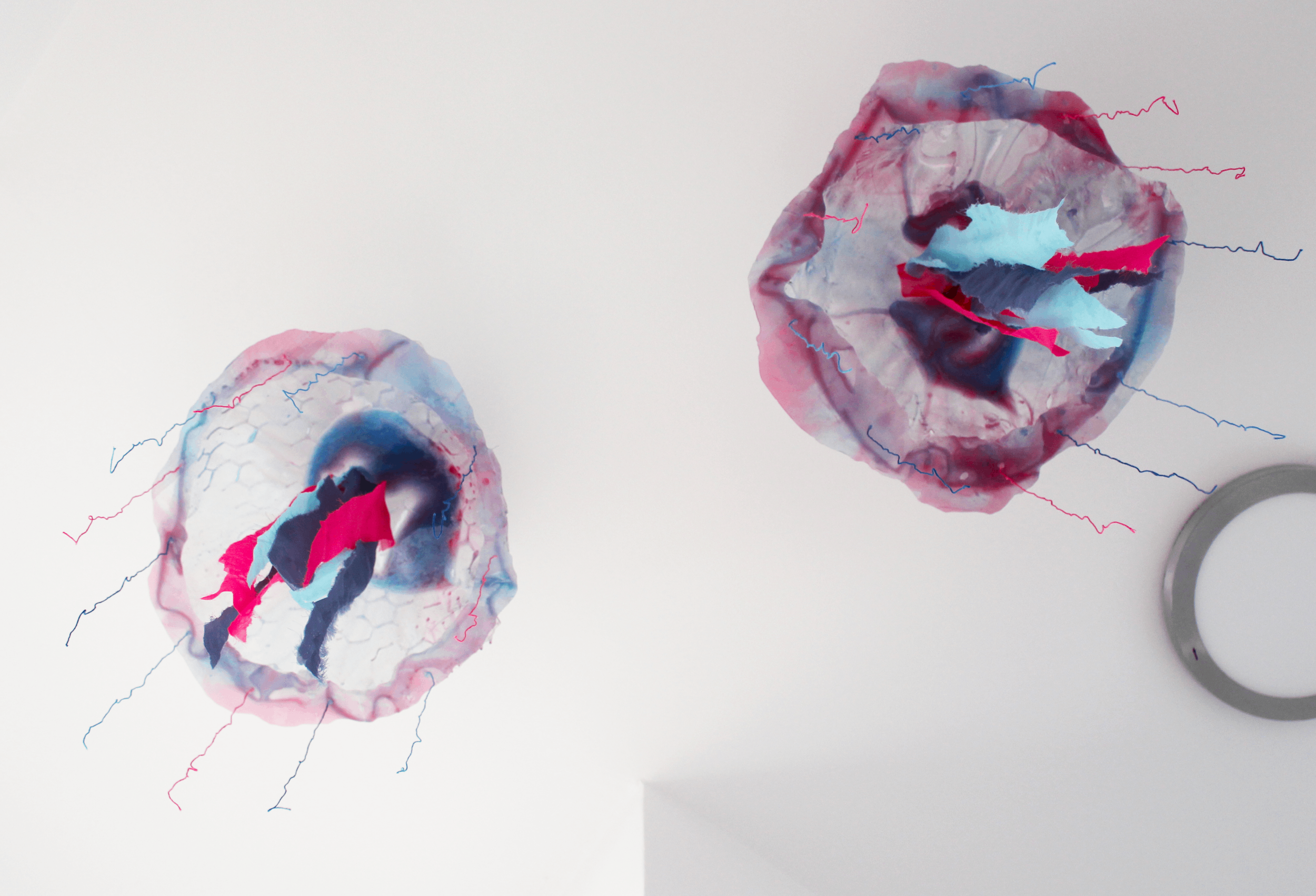 Jelly12.png