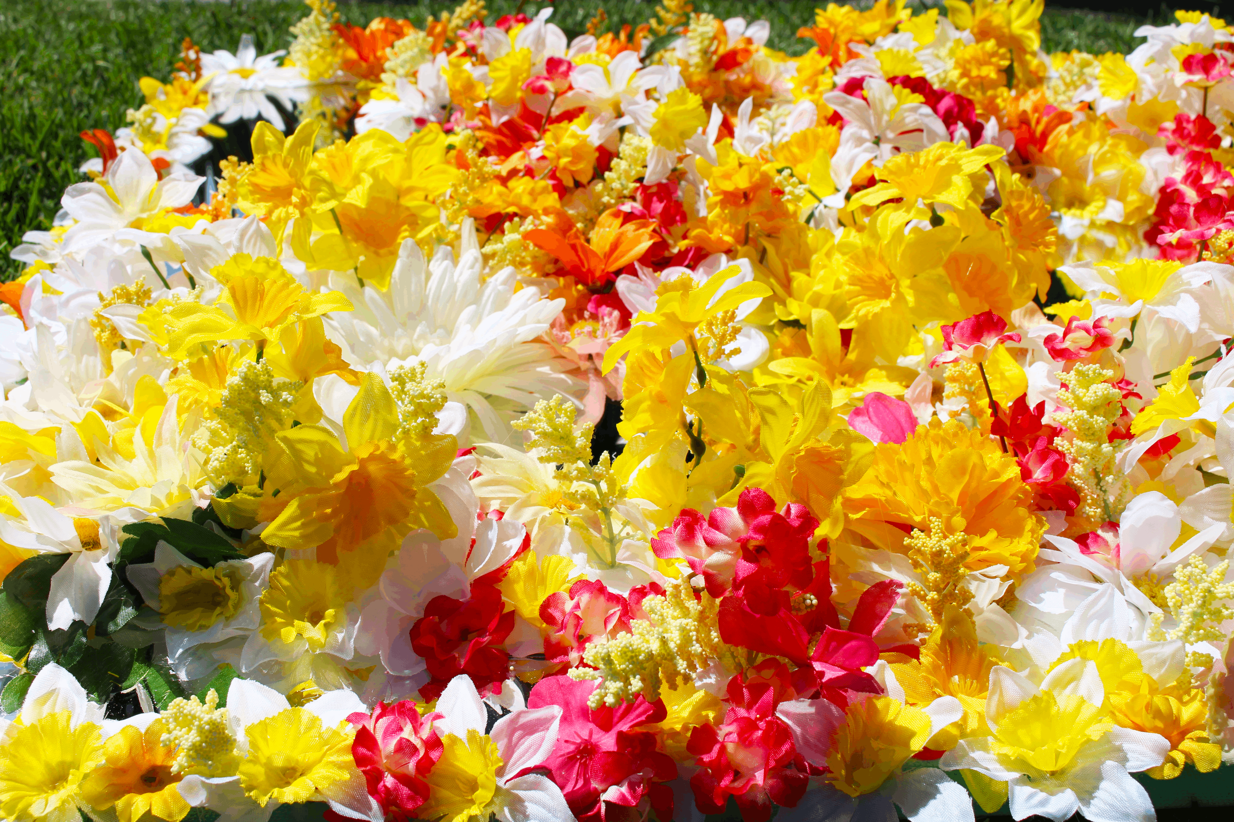 Floral6.png