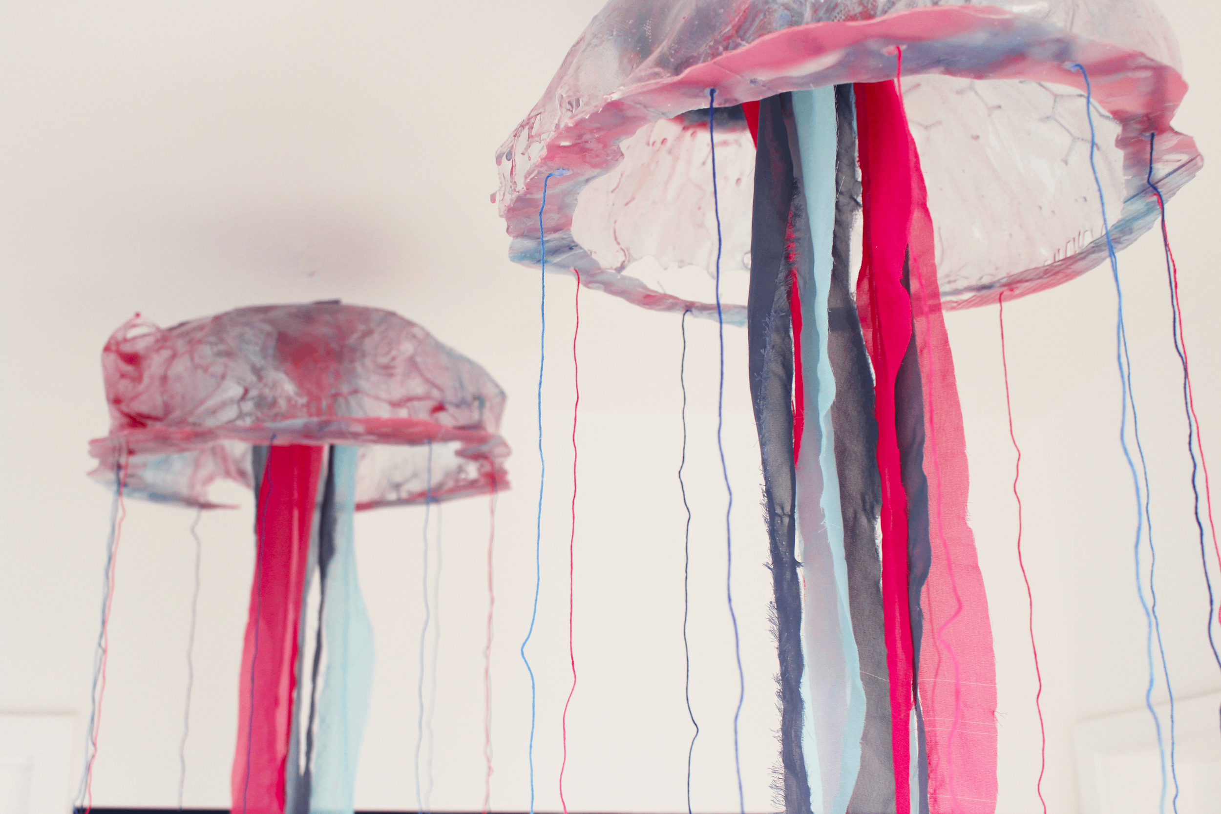Jelly10.png
