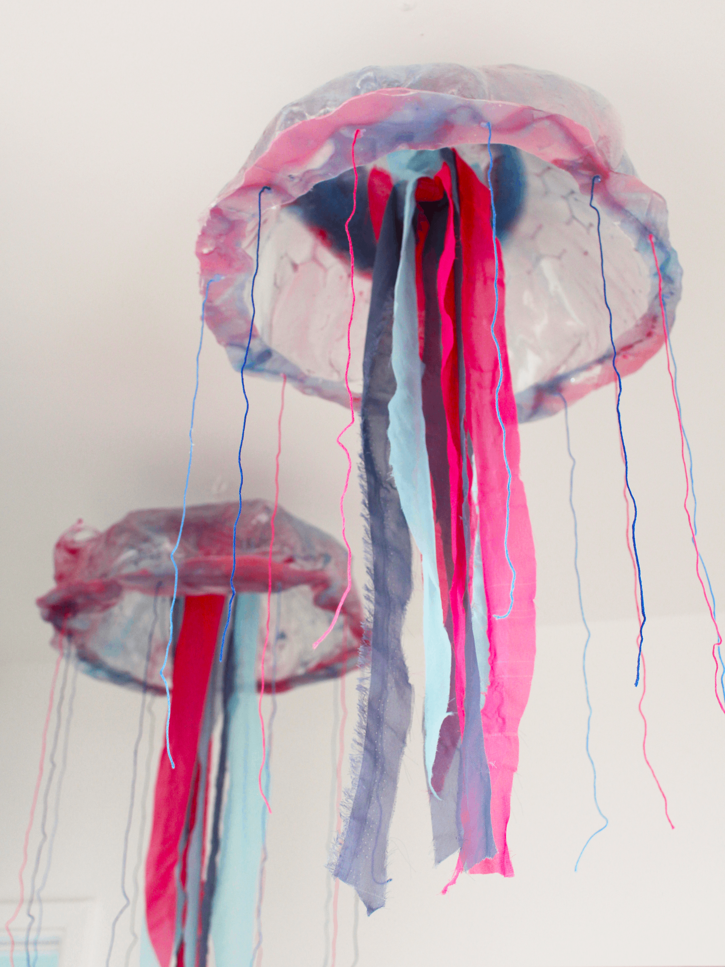 JellyfishH.png