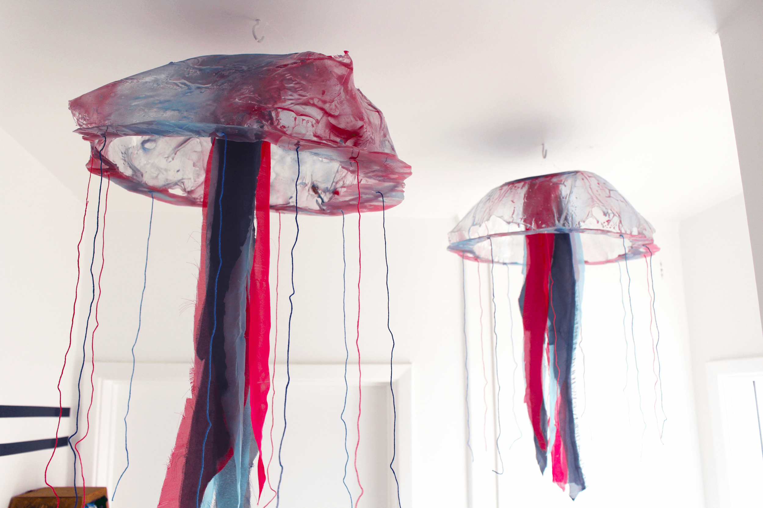 Jelly11.png