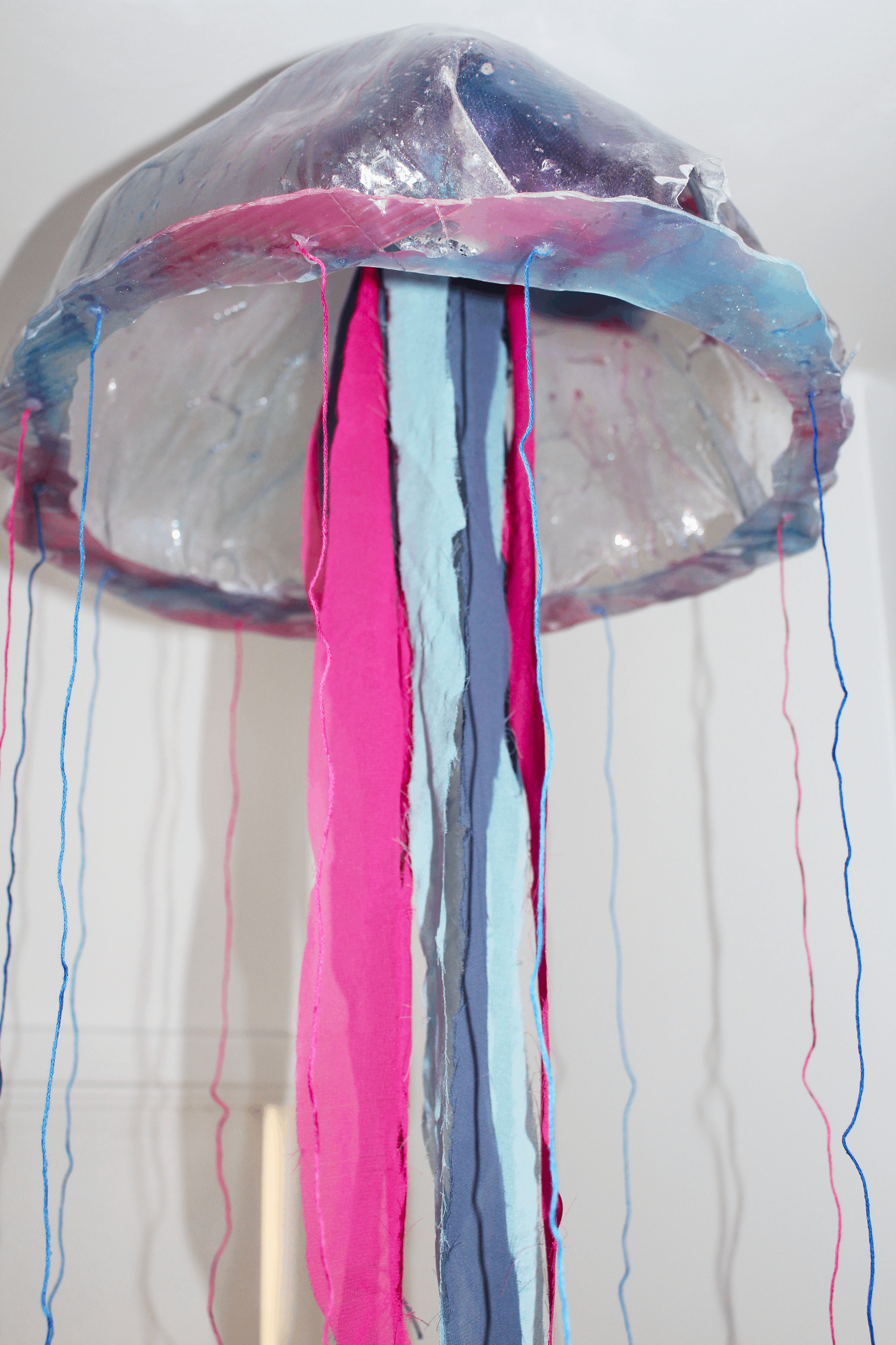 Jelly5.png
