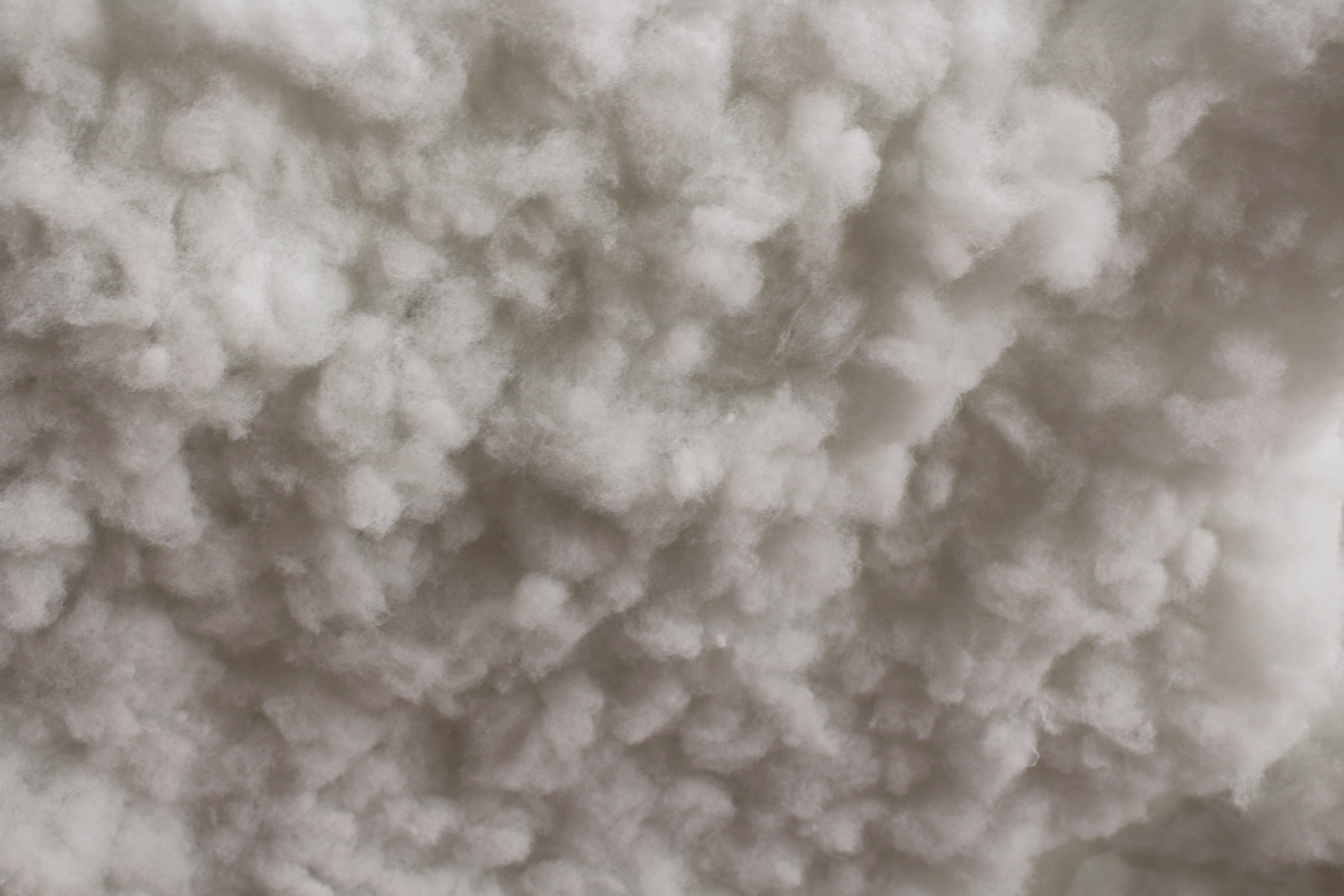 Cloud_9.png