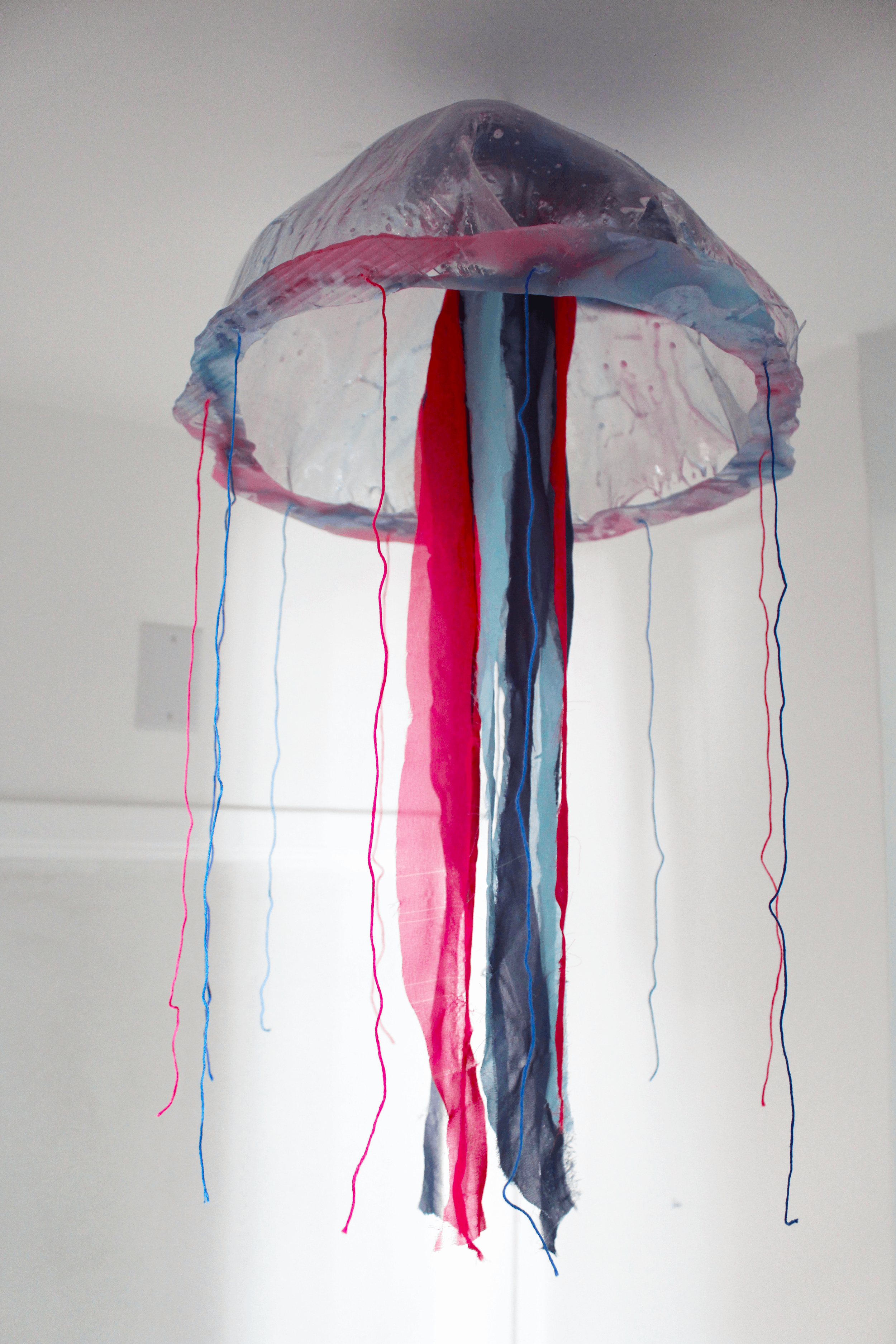 Jelly13.png